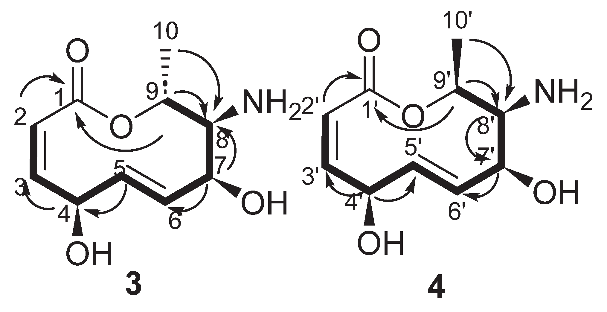 Chemistry 07 00101 g006