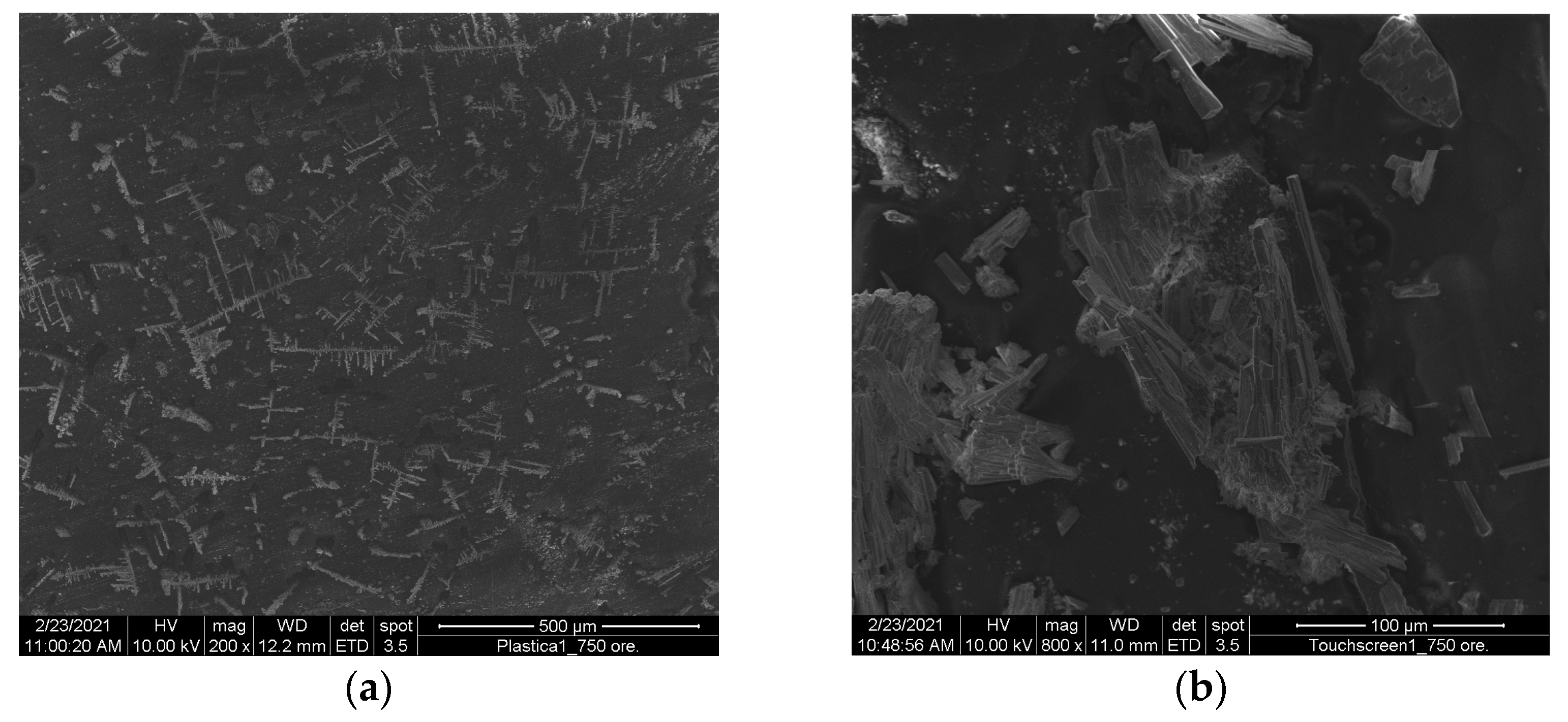 Chemistry 07 00104 g008