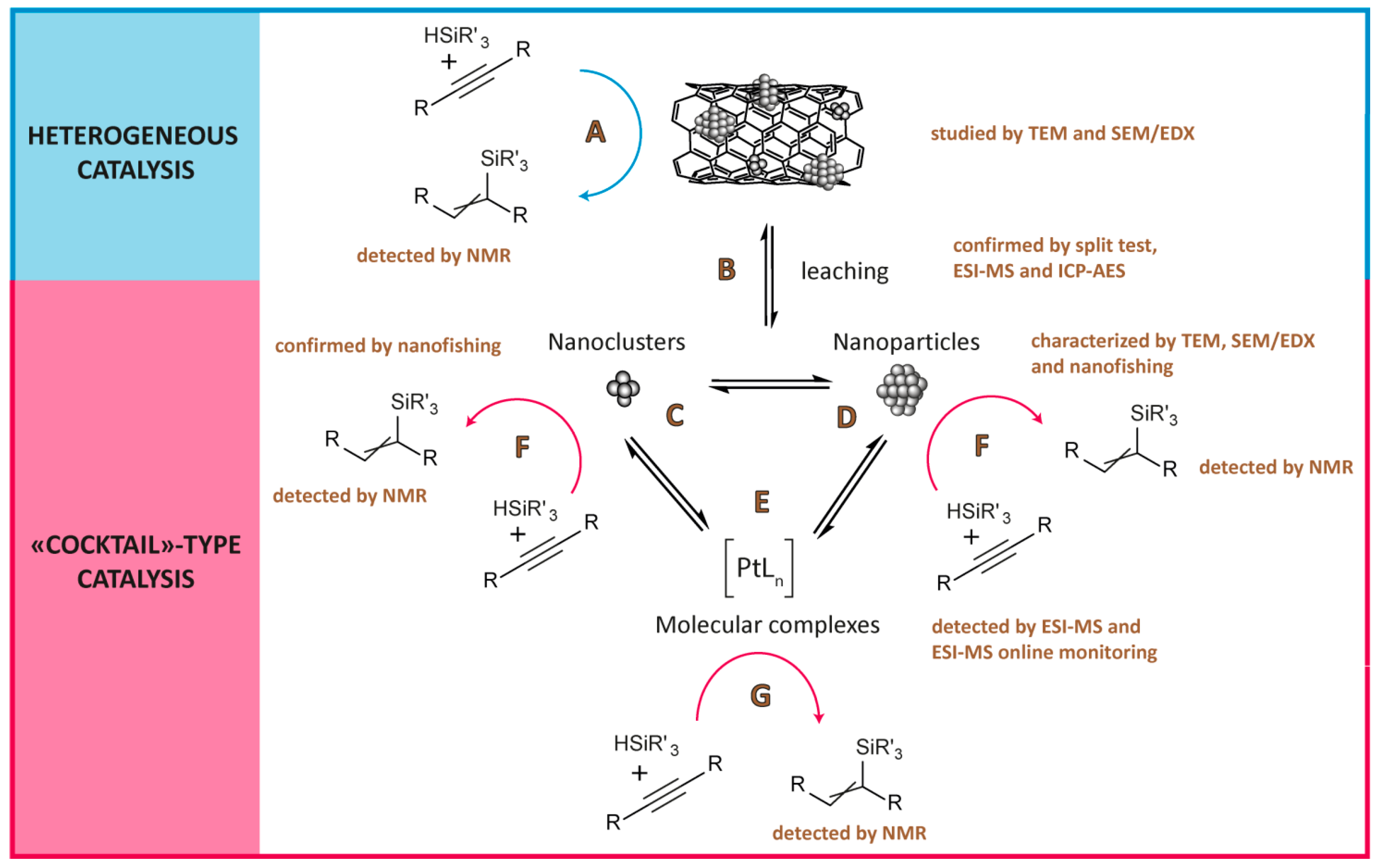 Chemistry 07 00109 g006