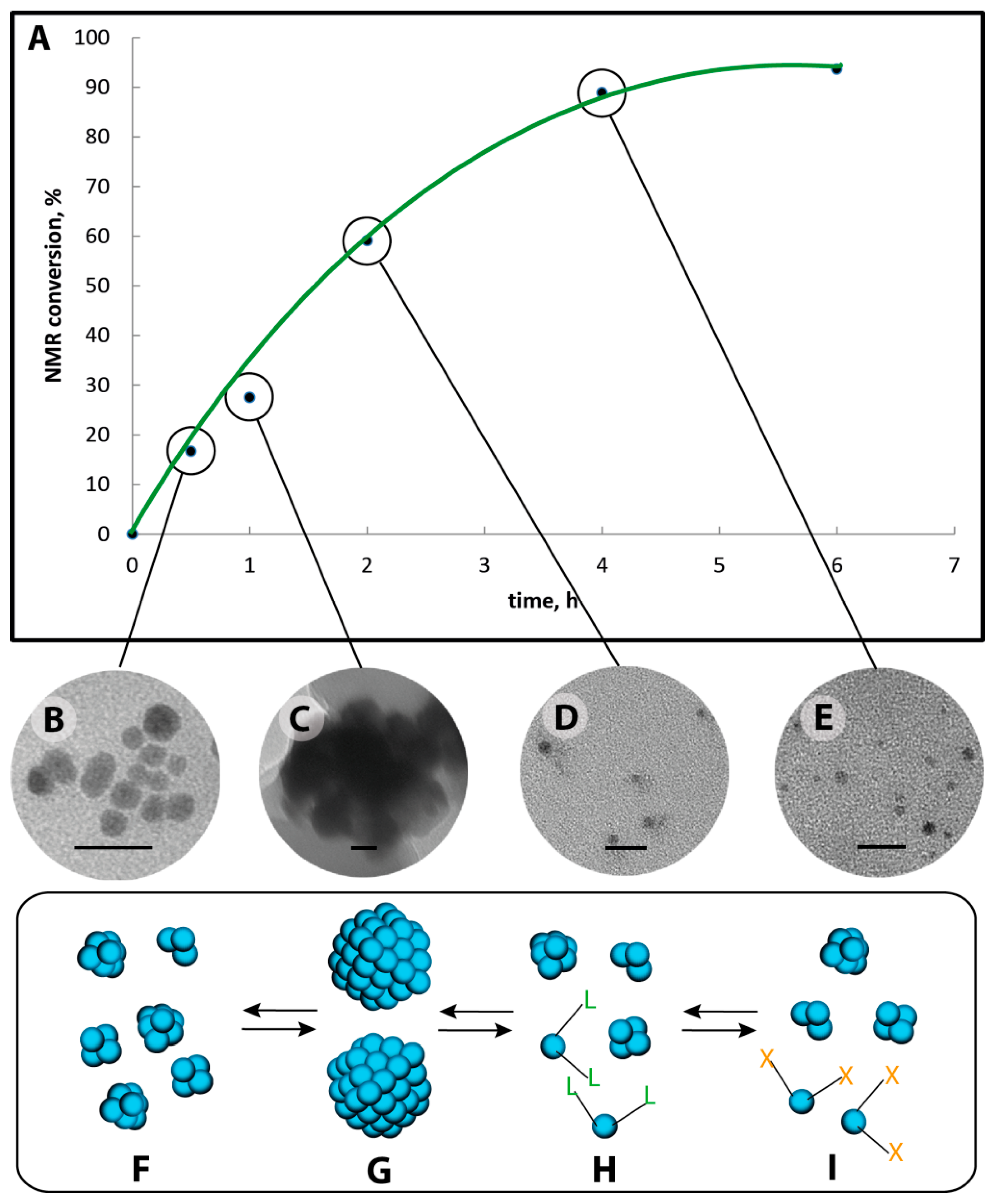 Chemistry 07 00109 g010