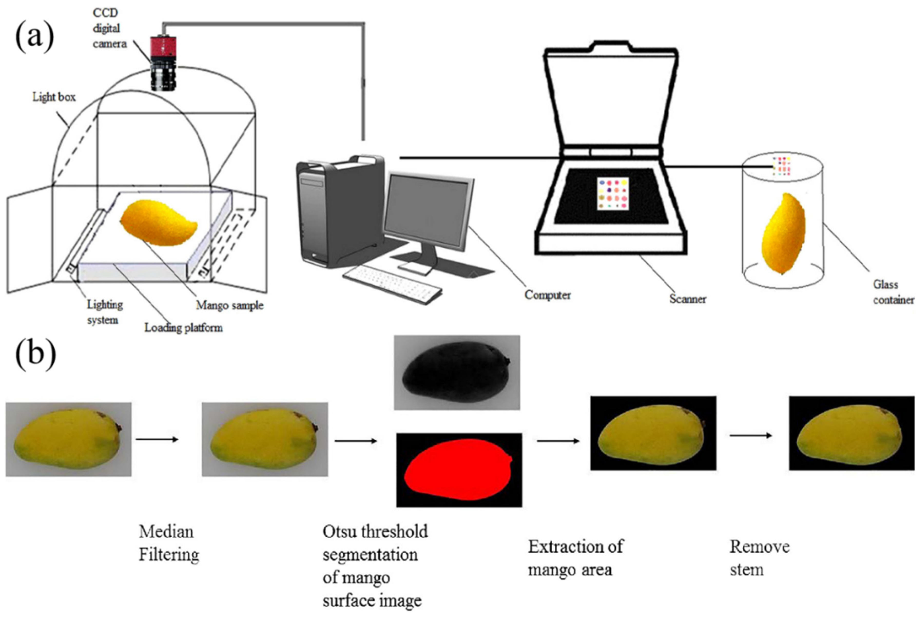 Chemistry 07 00115 g006