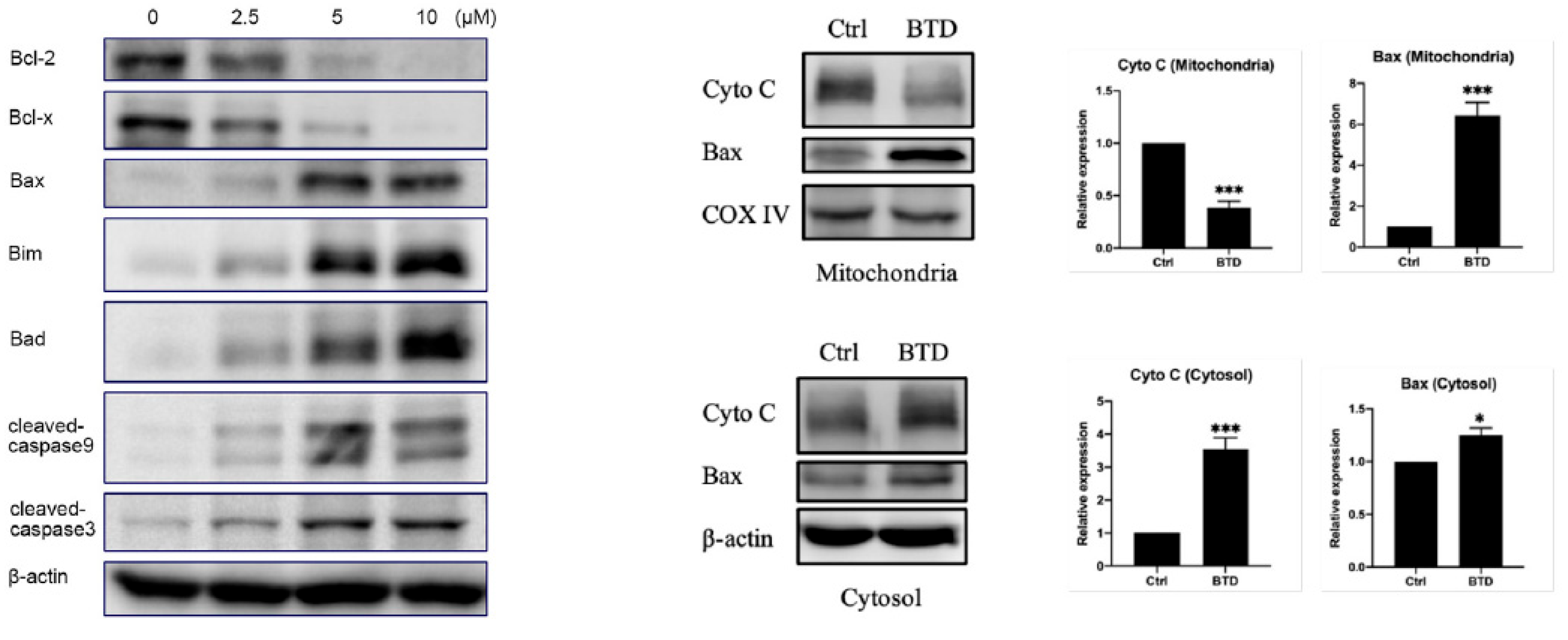 Chemistry 07 00118 g012