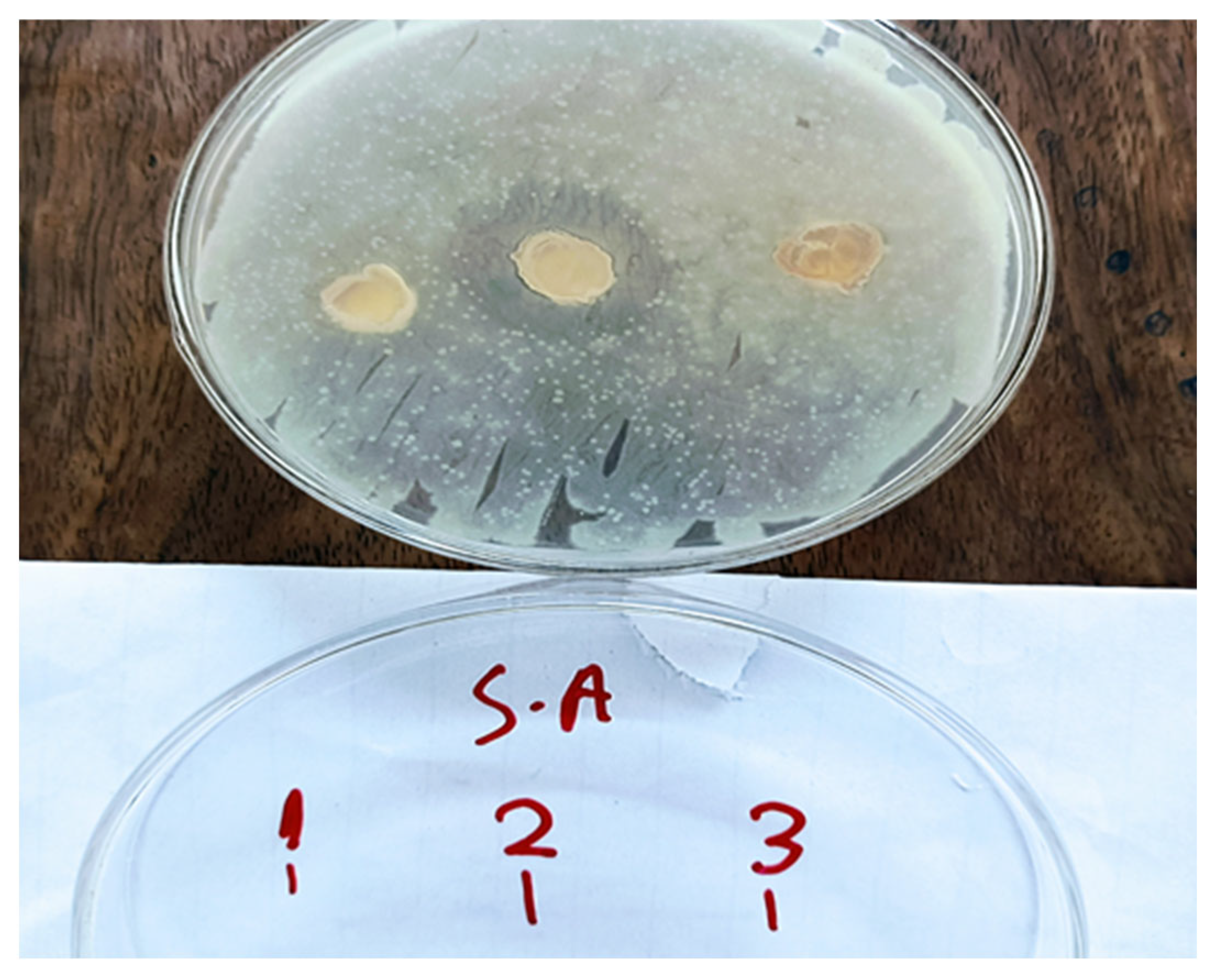Chemistry 07 00130 g003 Chemistry 07 00130 g003