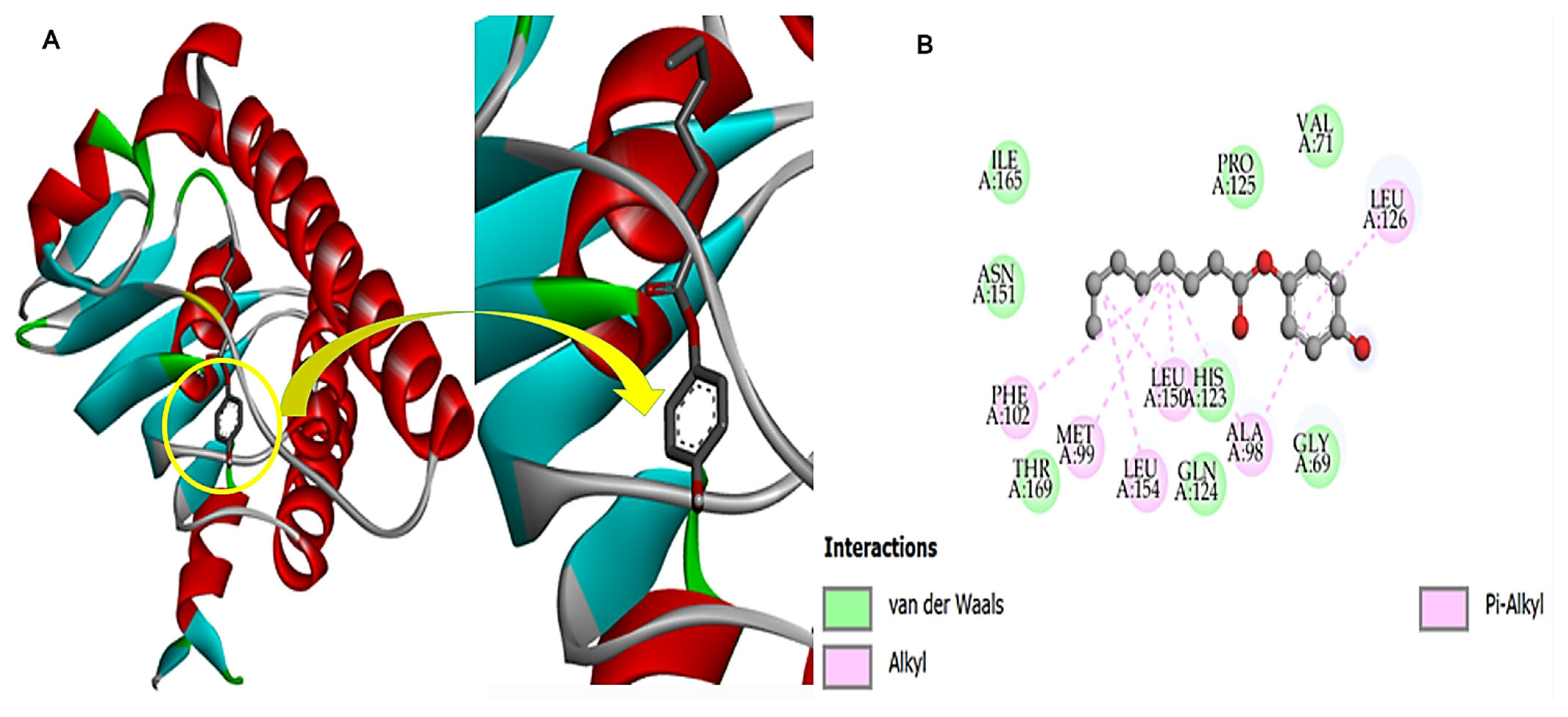 Chemistry 07 00130 g011 Chemistry 07 00130 g011