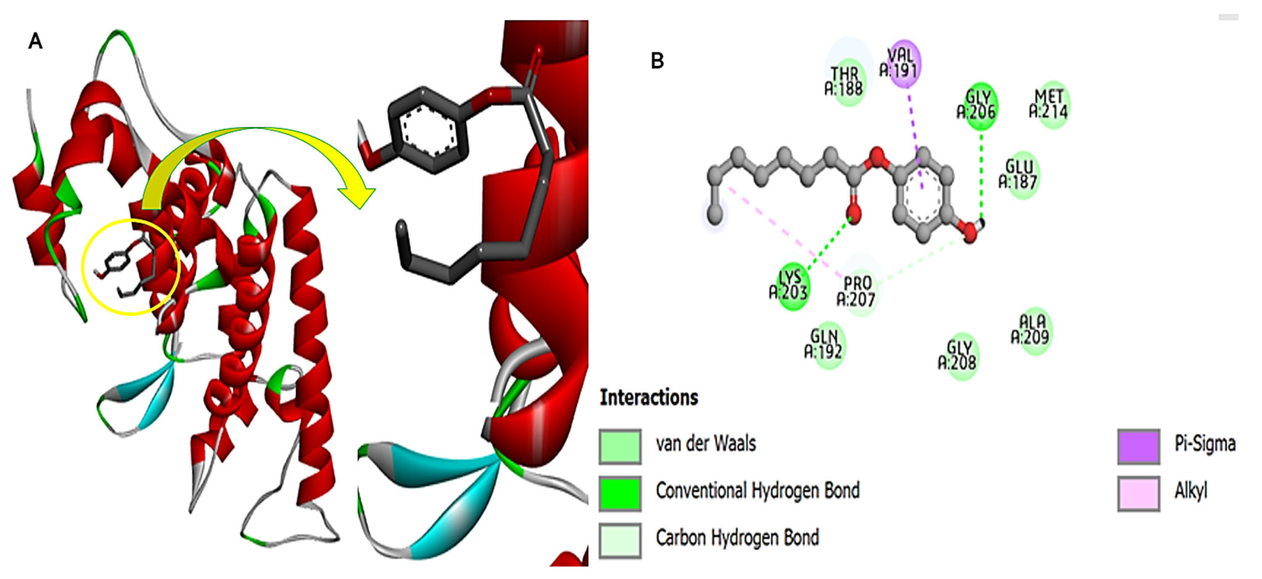 Chemistry 07 00130 g012 Chemistry 07 00130 g012