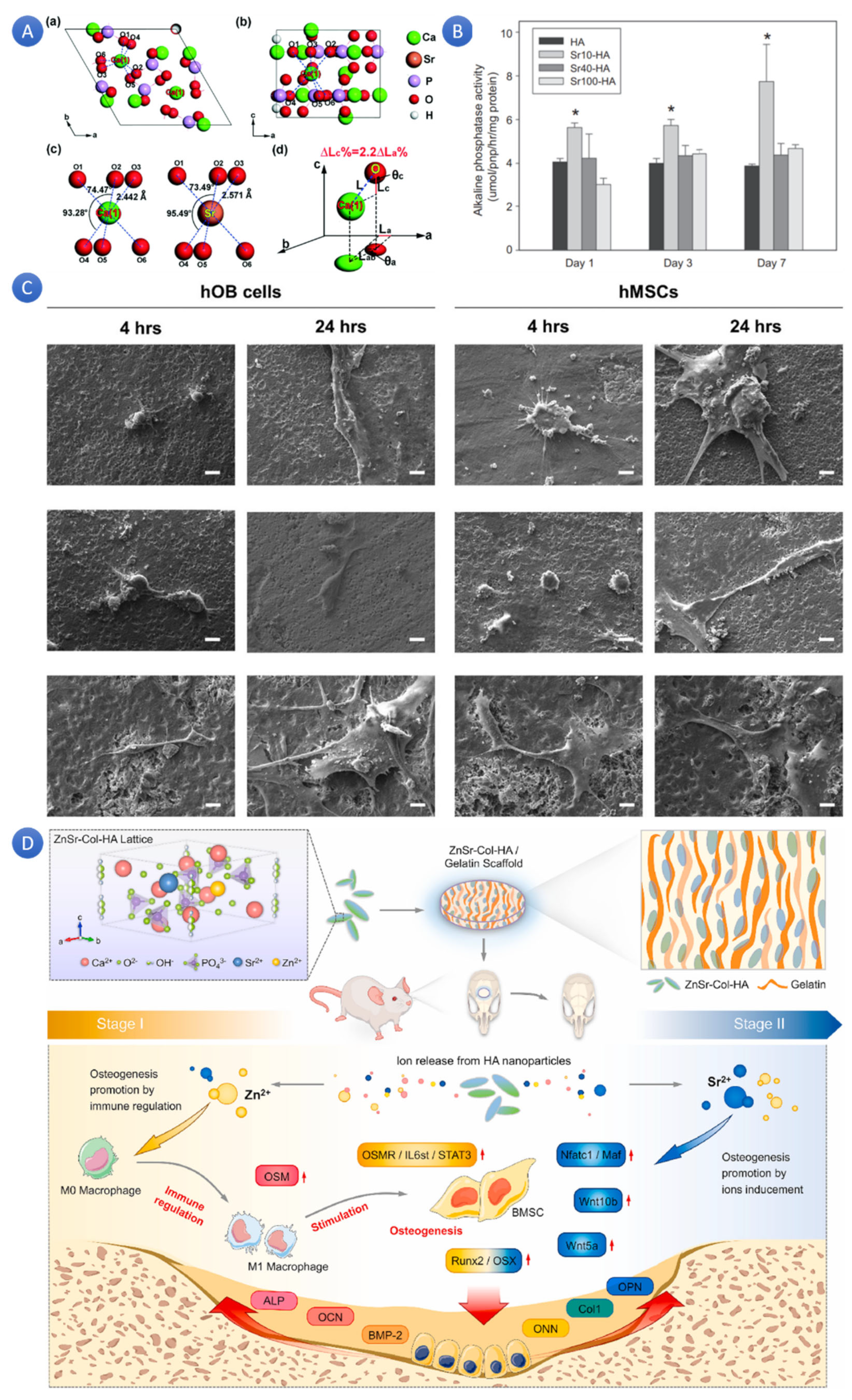 Chemistry 07 00137 g003