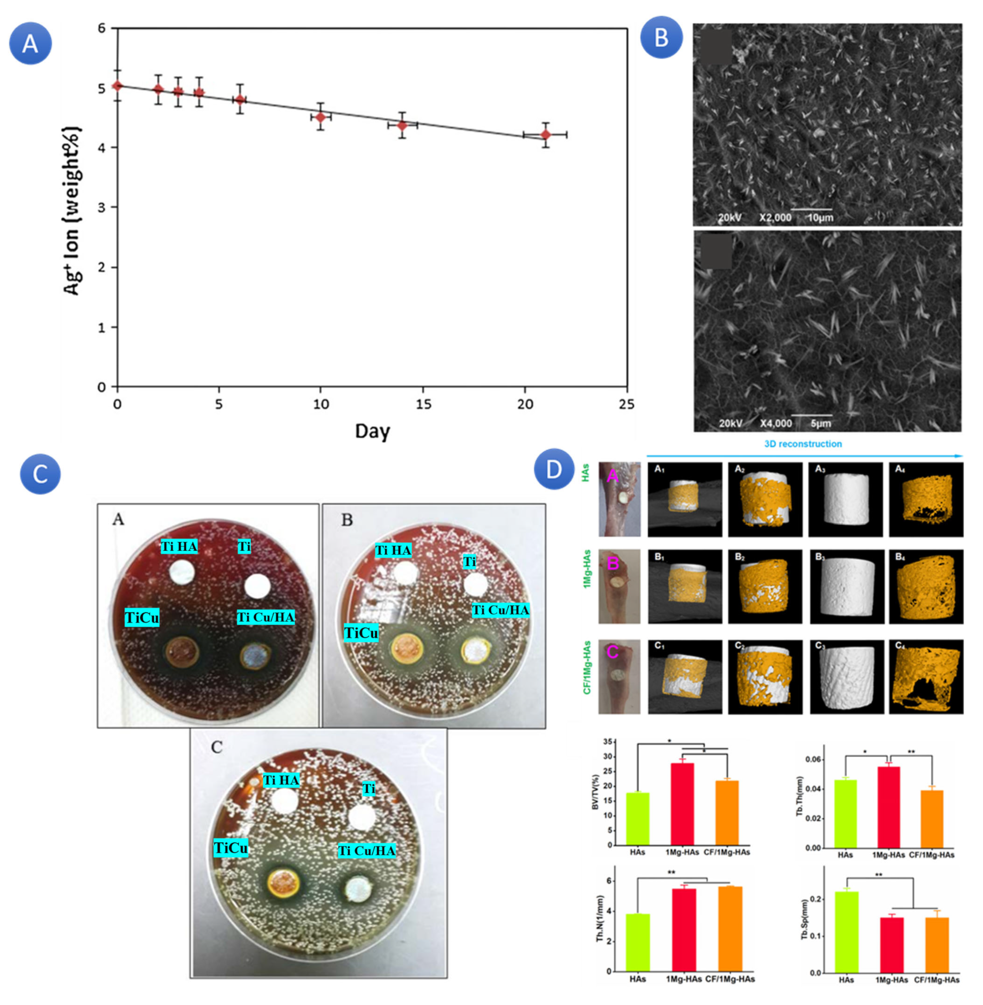 Chemistry 07 00137 g006