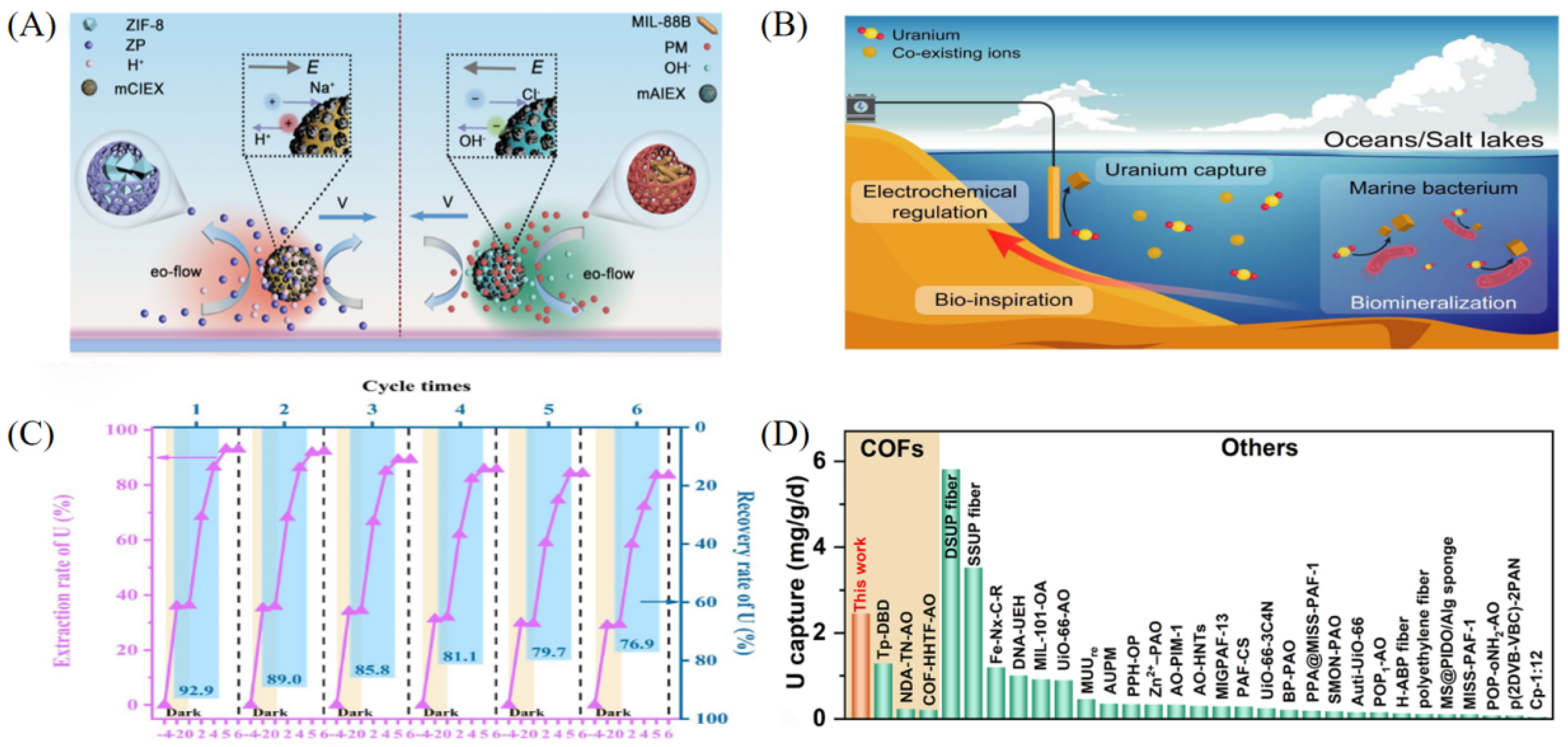 Chemistry 07 00142 g005 Chemistry 07 00142 g005