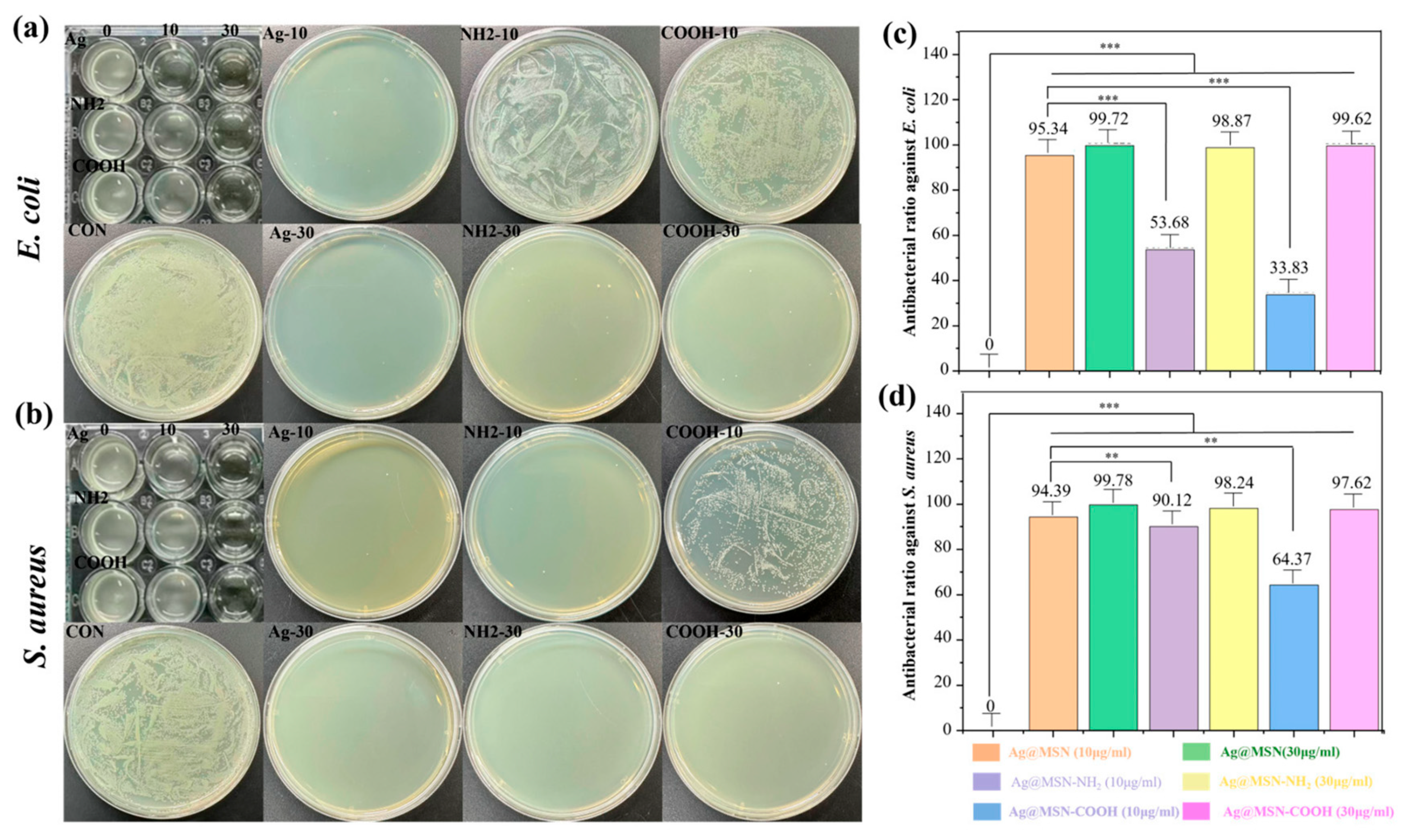Chemistry 07 00146 g005