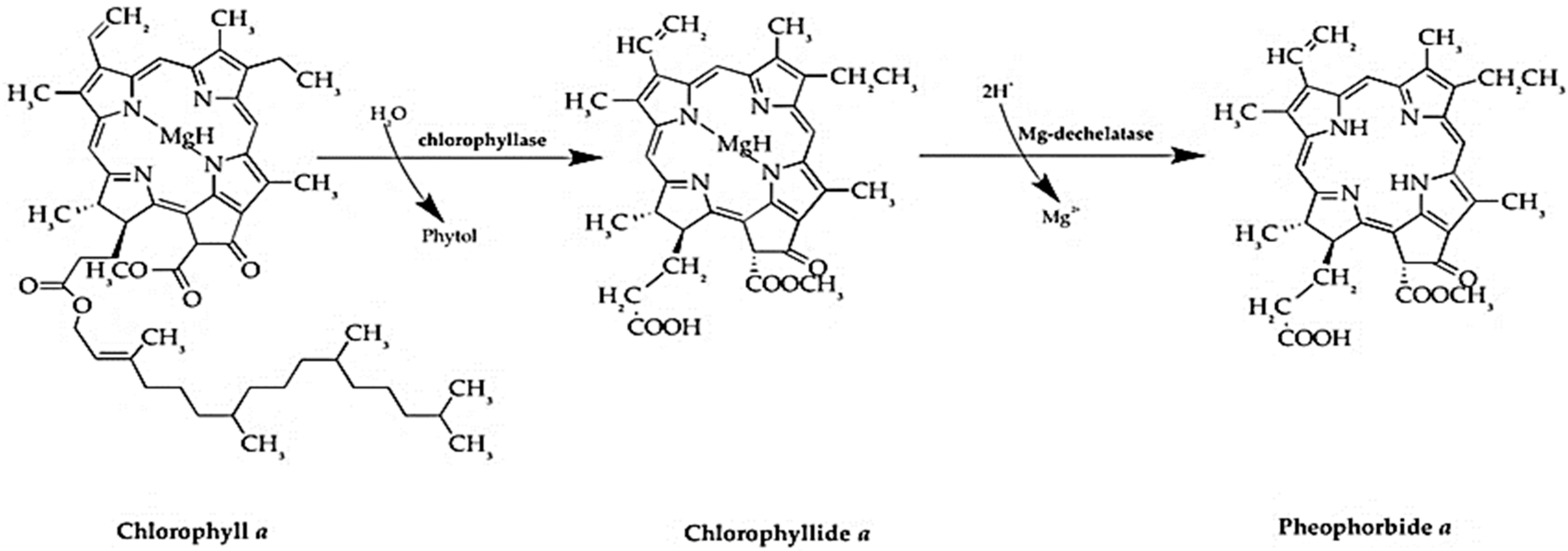 Chemistry 07 00148 g006