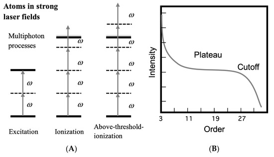 Non-Perturbative Approaches to Linear and Nonlinear Responses of