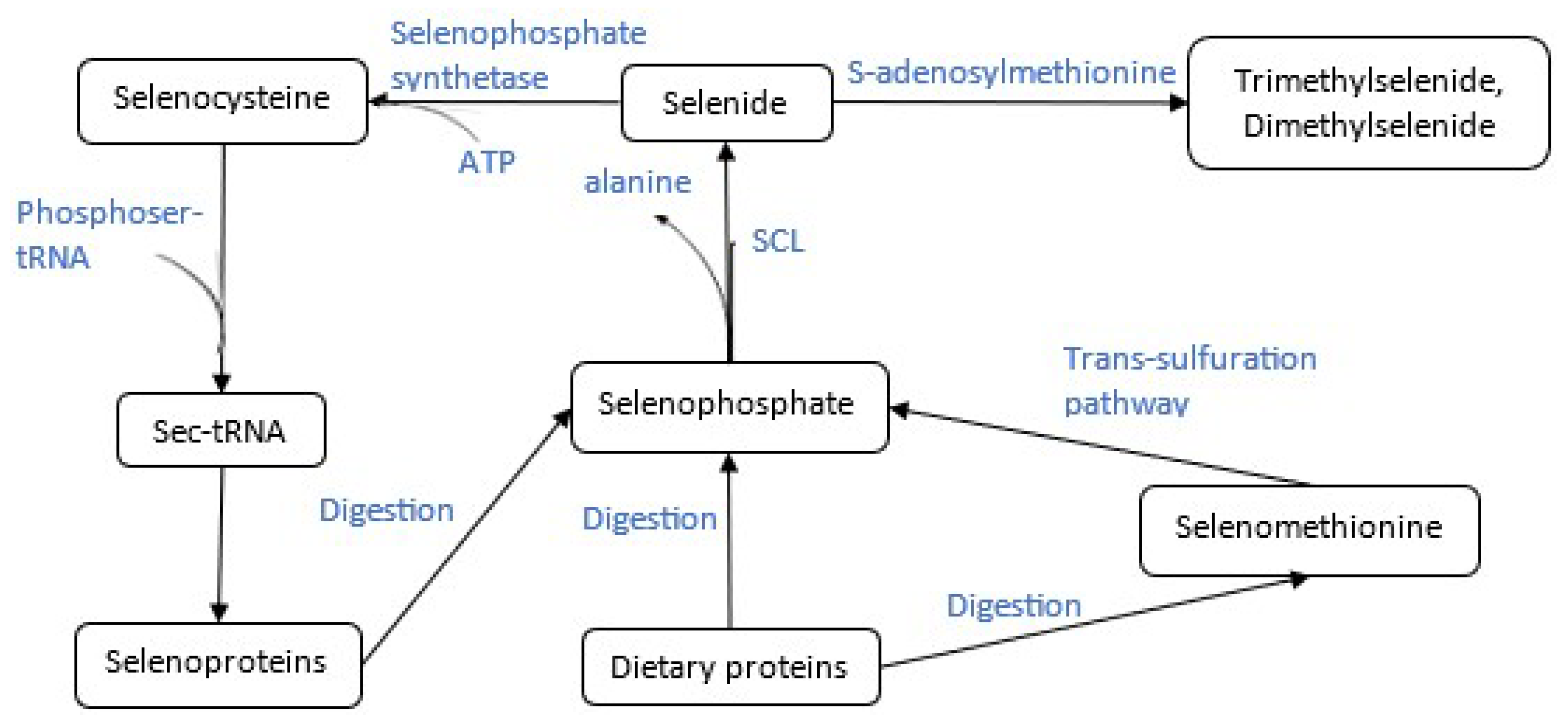 Chemistry 07 00169 g001