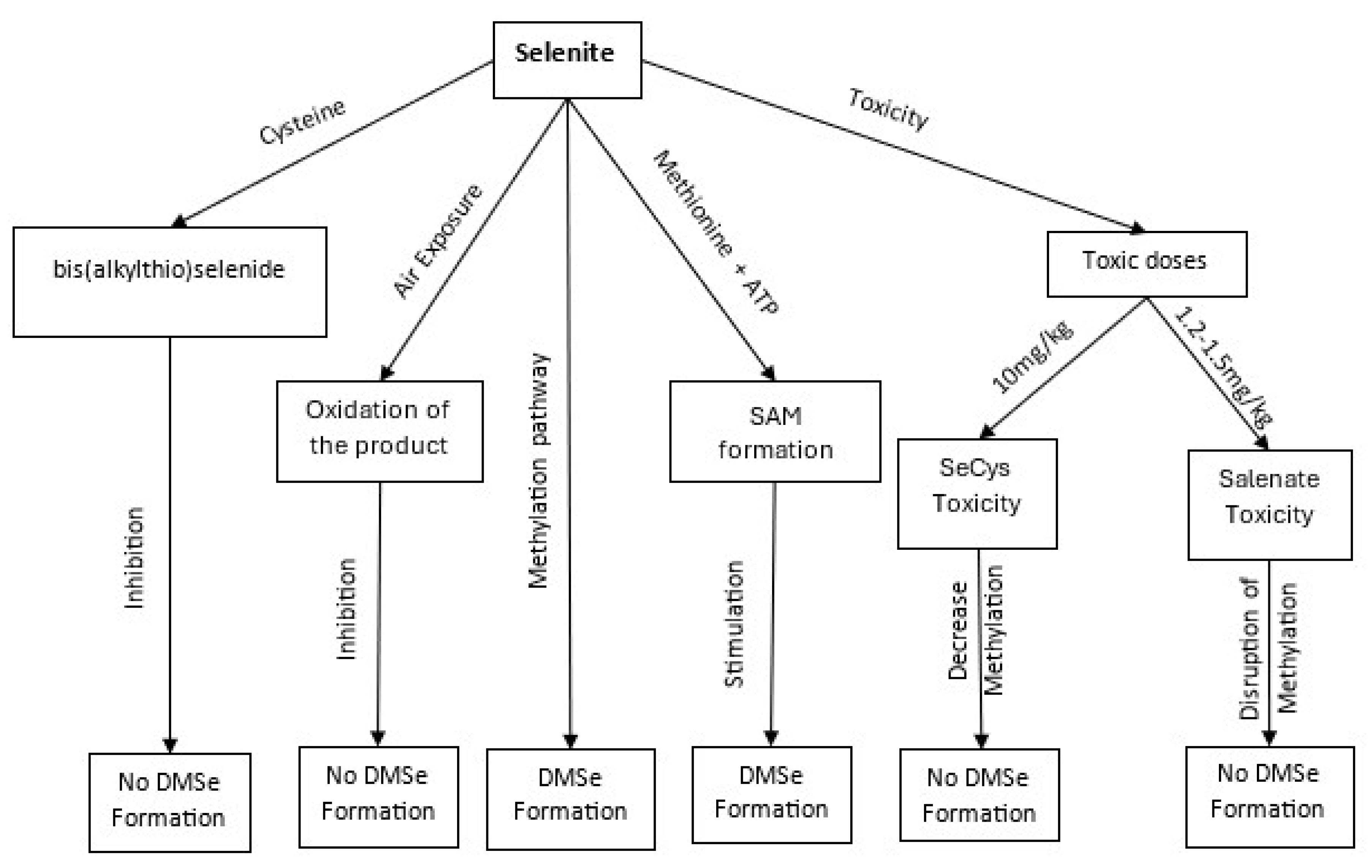 Chemistry 07 00169 g002