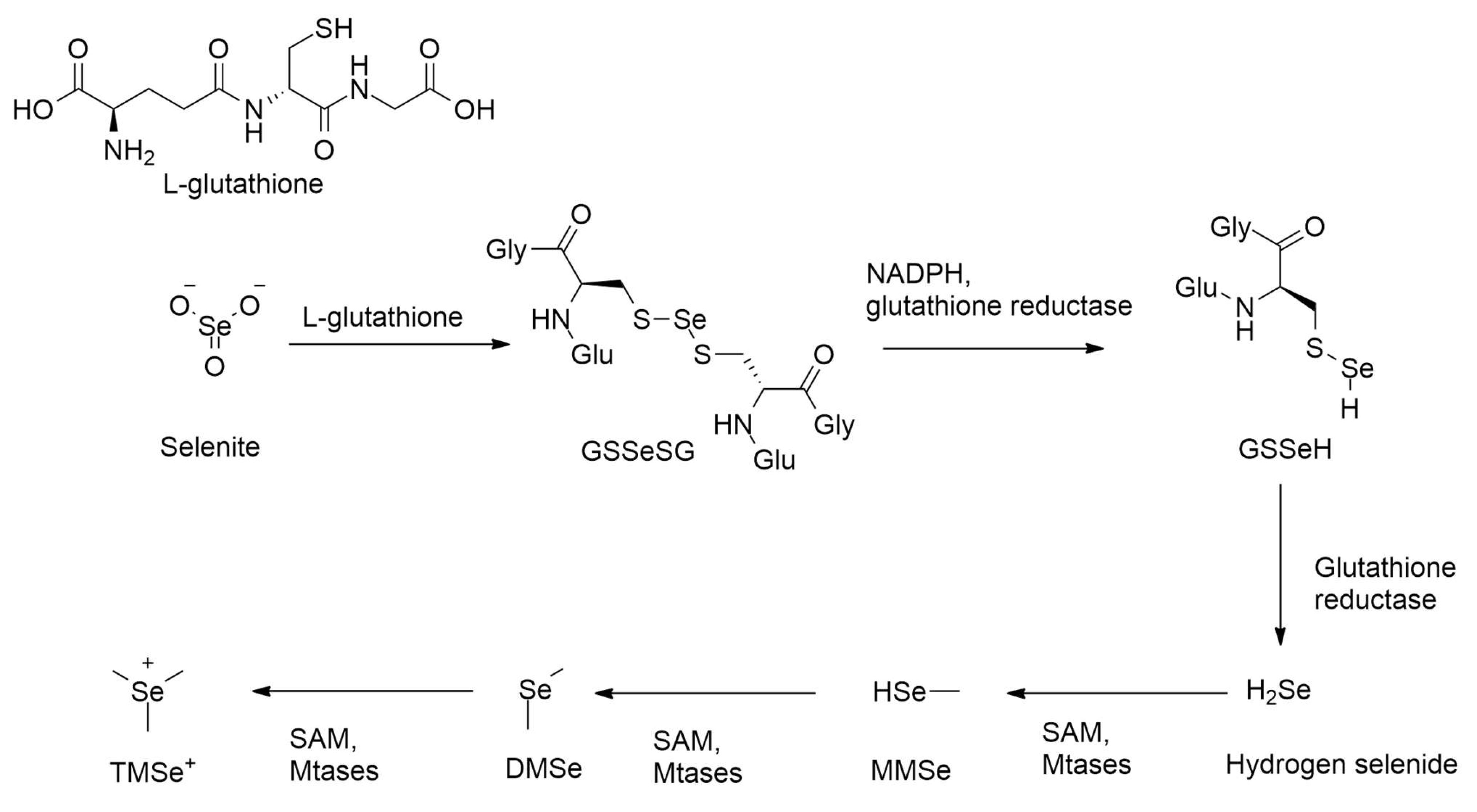 Chemistry 07 00169 sch001