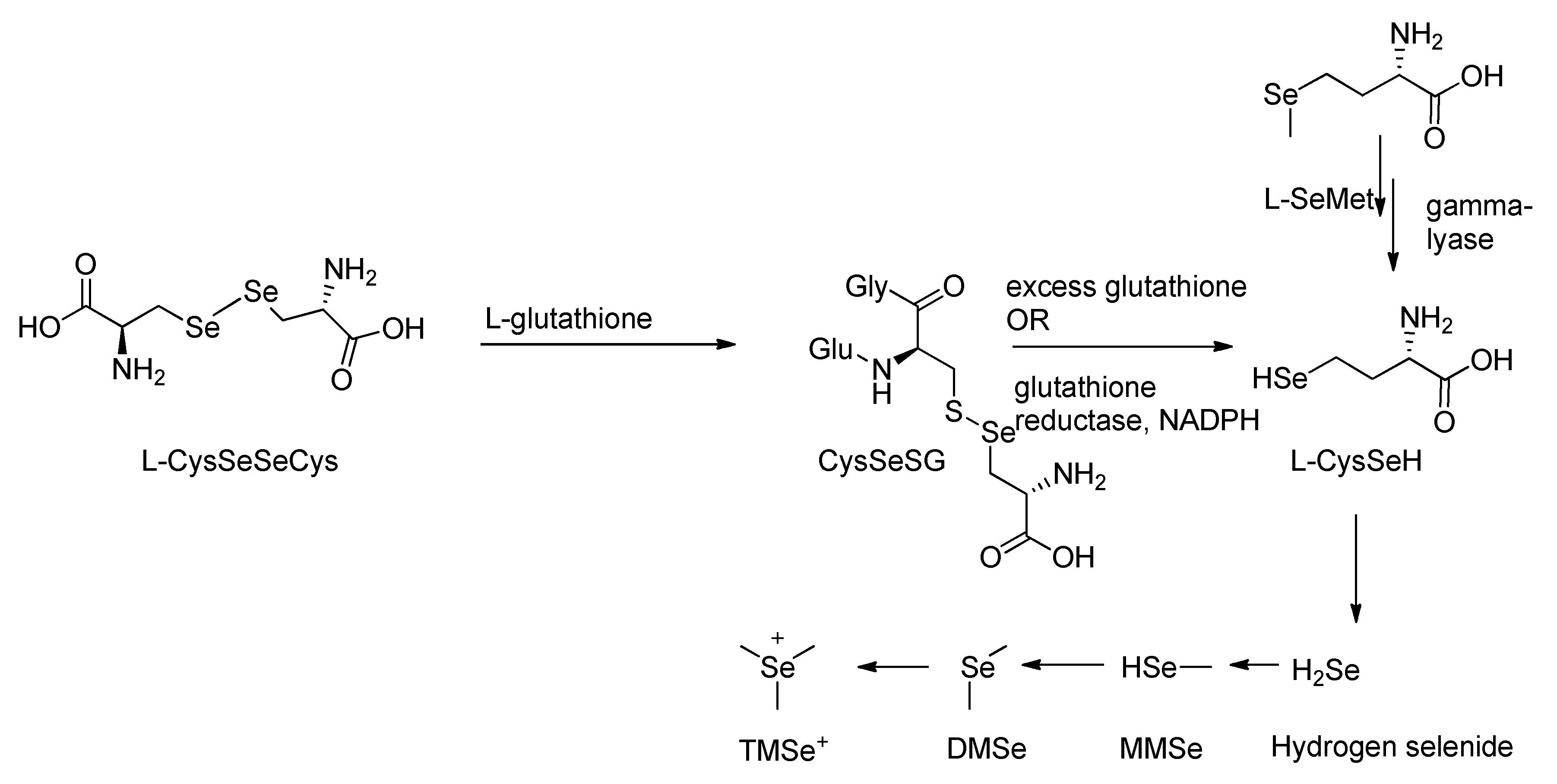 Chemistry 07 00169 sch002