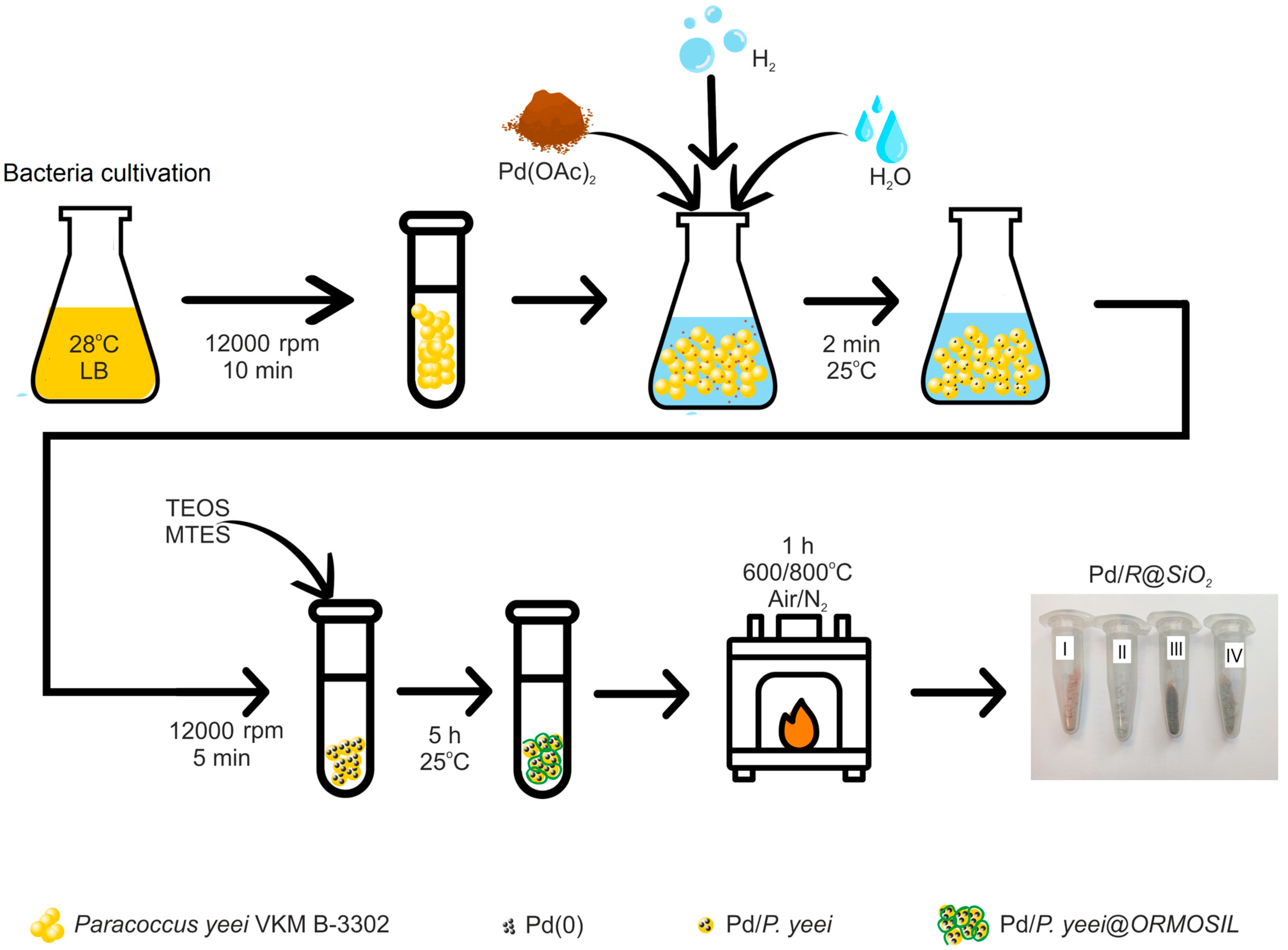 Chemistry 07 00188 g001