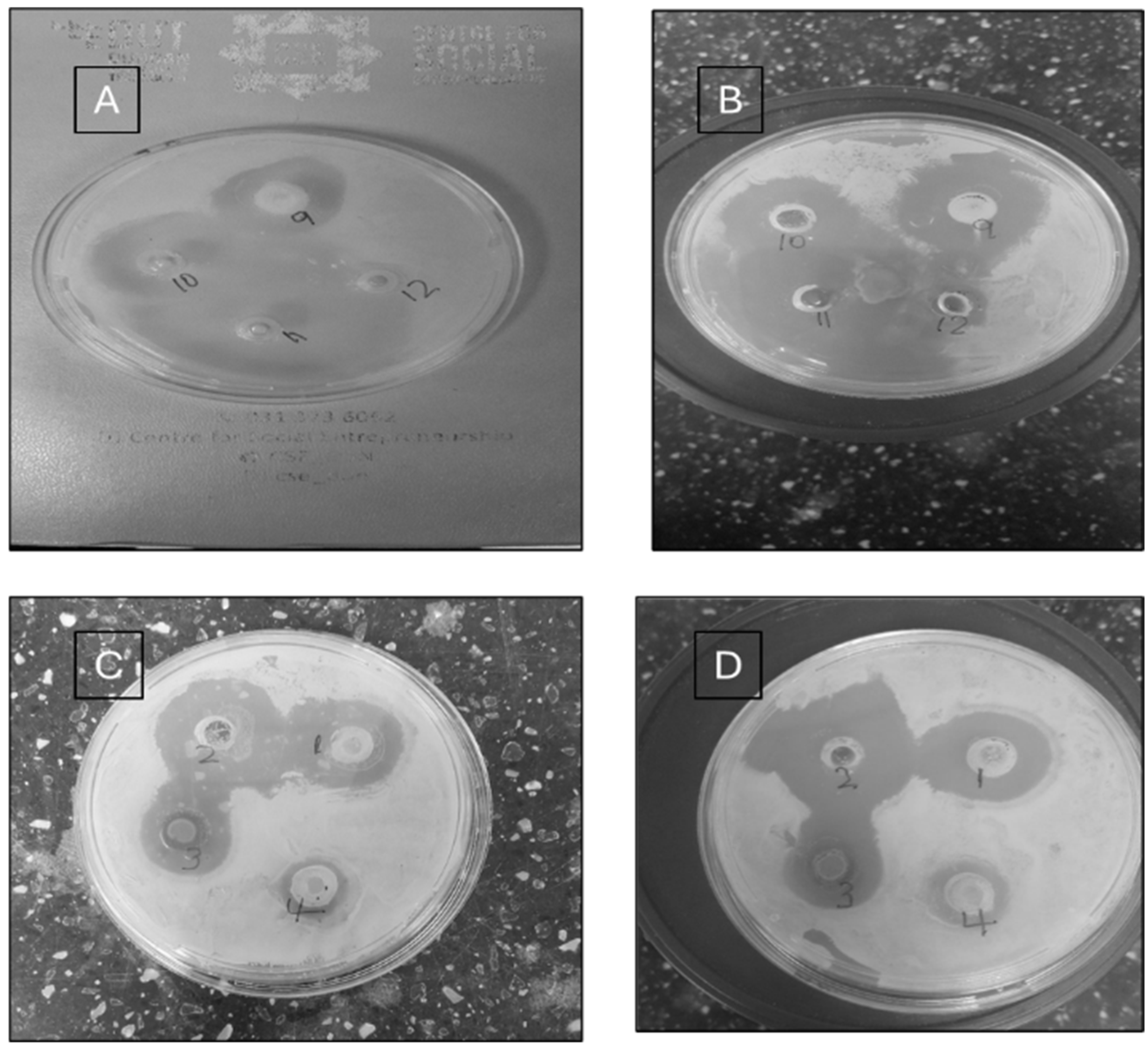 Chemistry 07 00191 g002