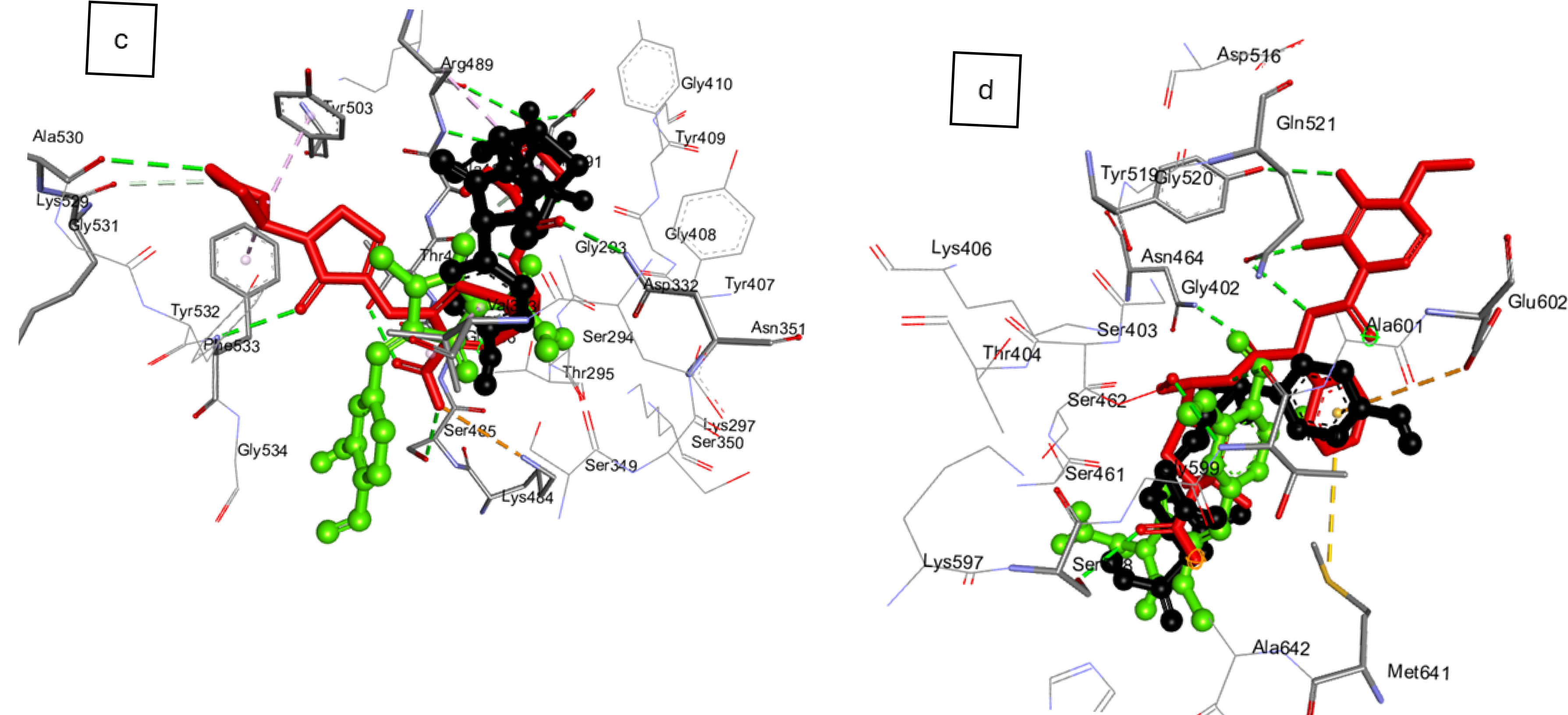 Chemistry 07 00191 g004b