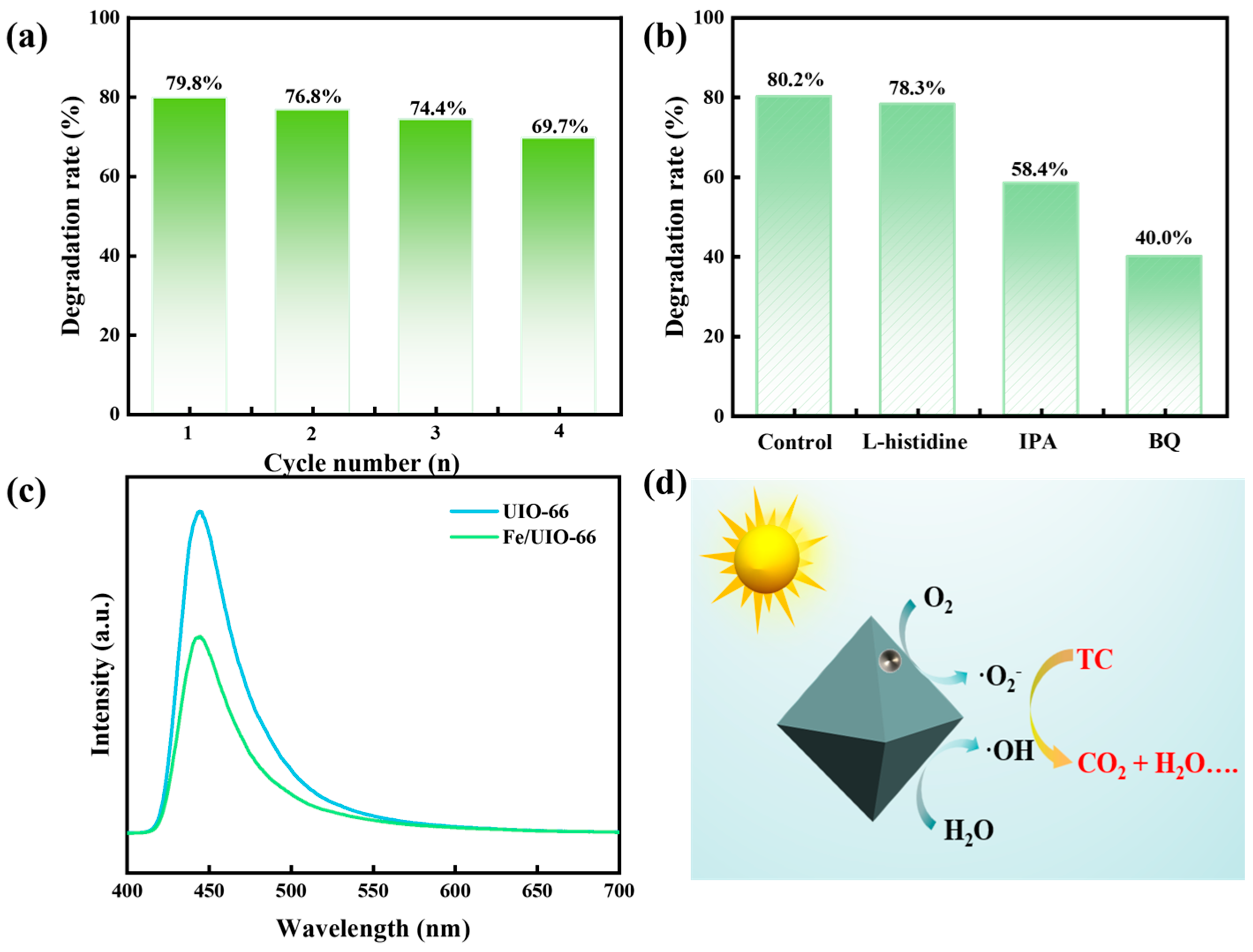 Chemistry 07 00197 g007