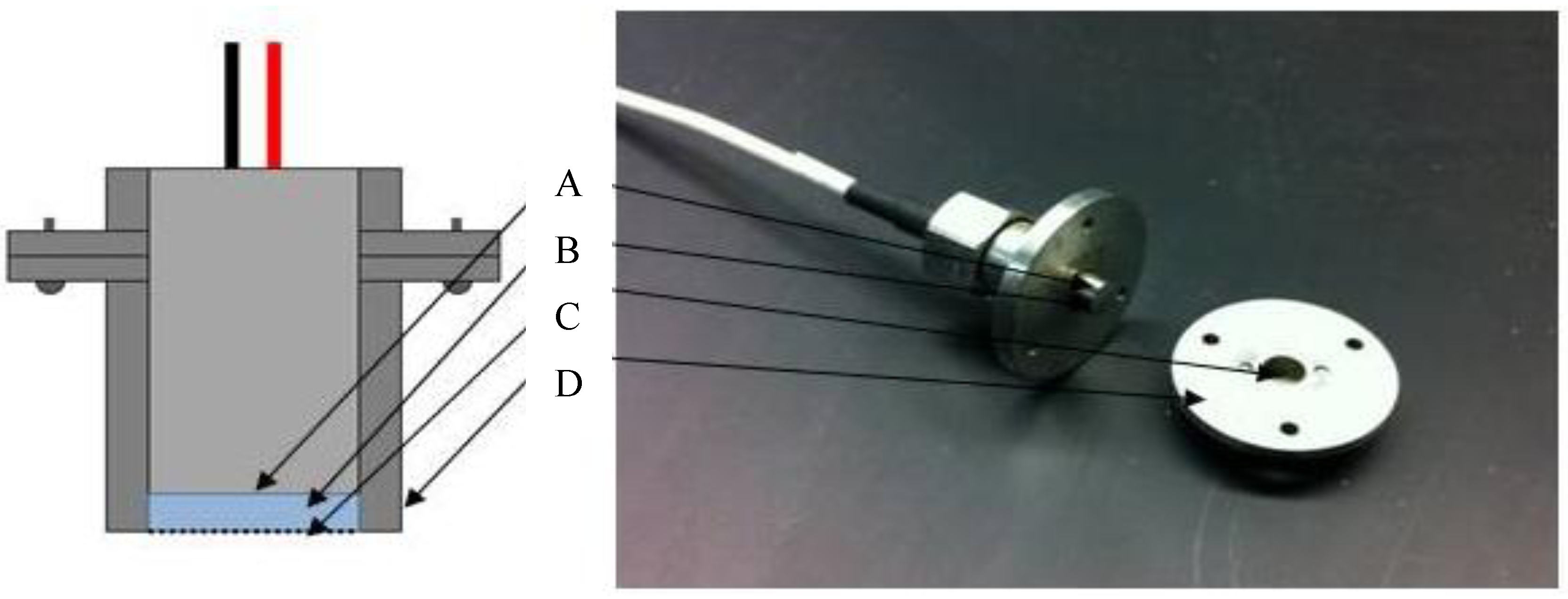 Chemosensors 01 00033 g001