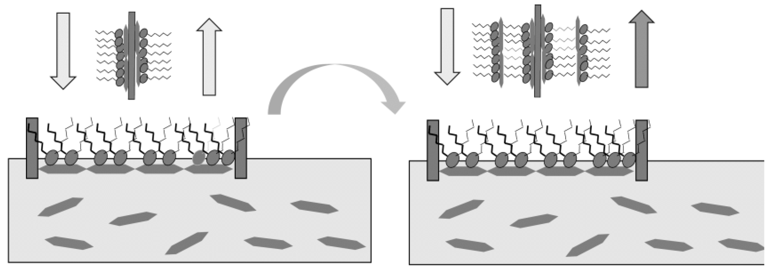 Chemosensors 02 00041 g008