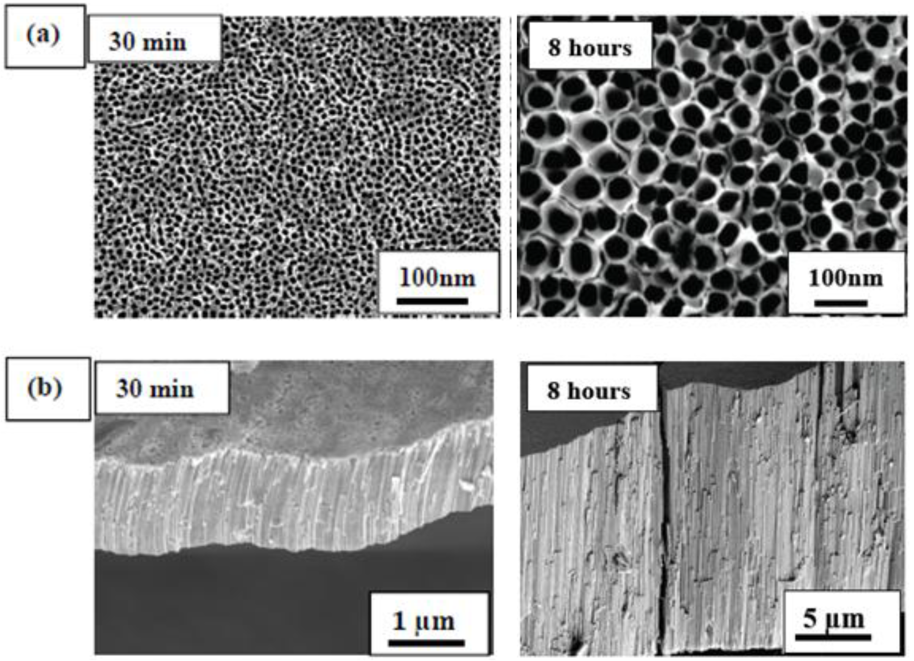 Chemosensors 02 00069 g002 1024