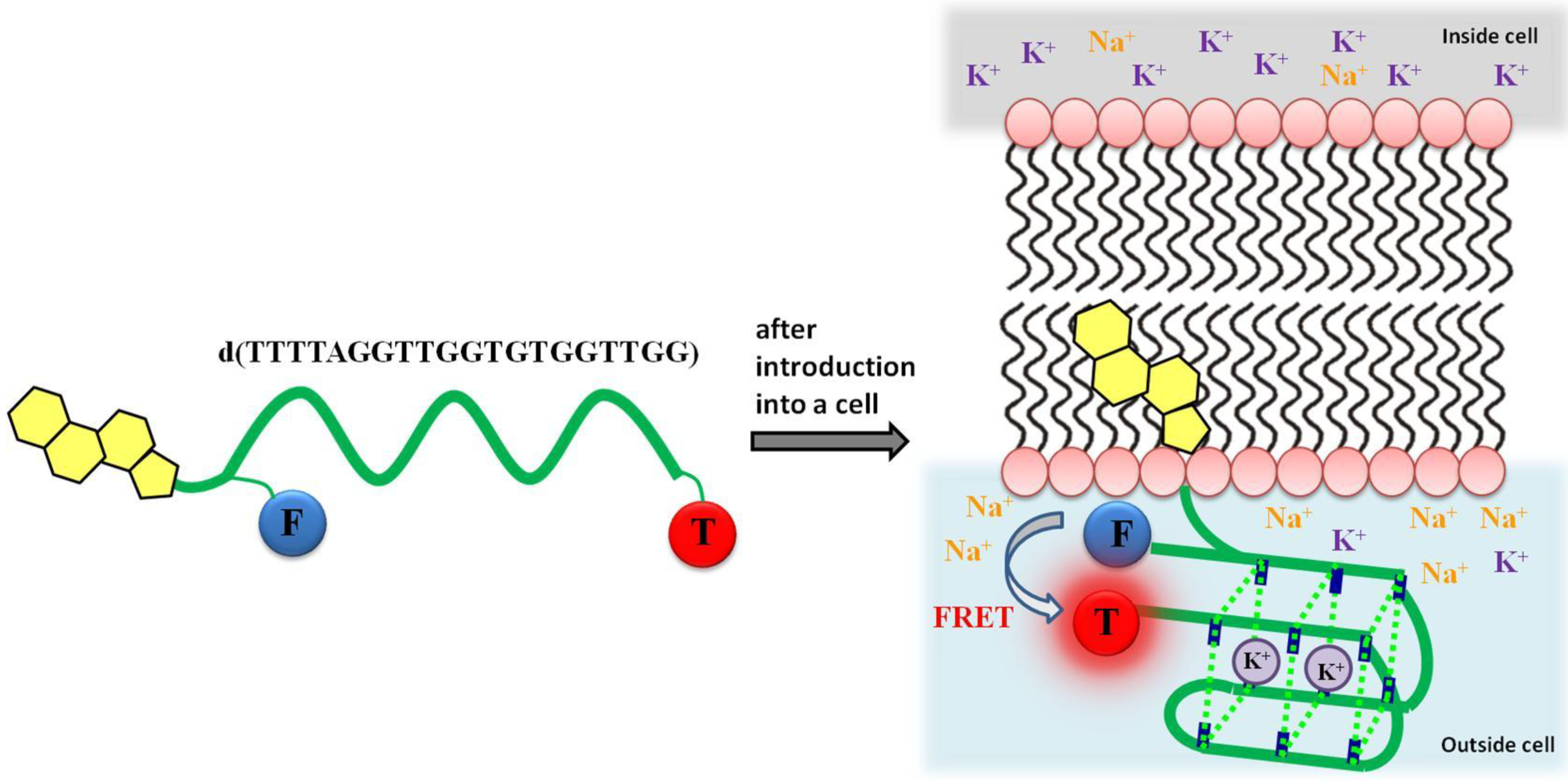 Chemosensors 02 00267 g009 1024