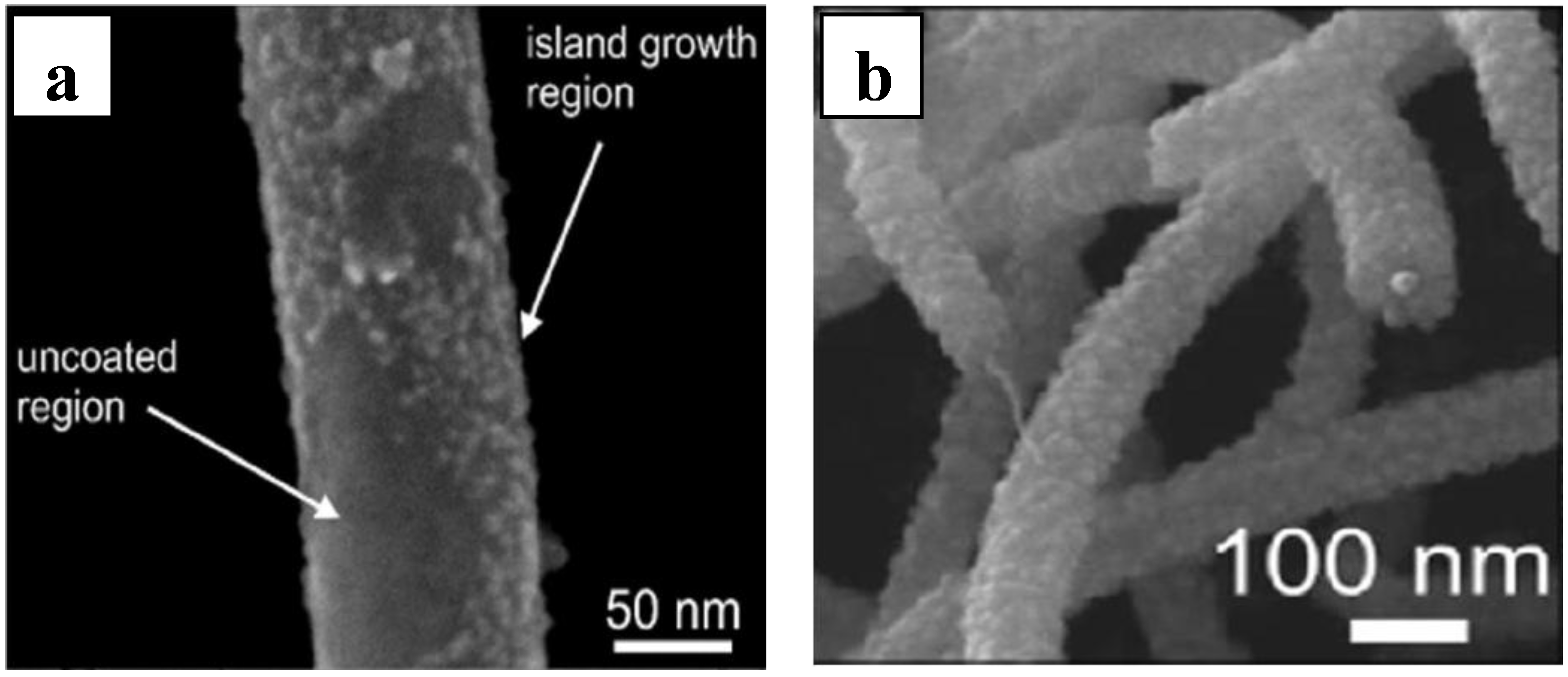 Chemosensors 03 00001 g005