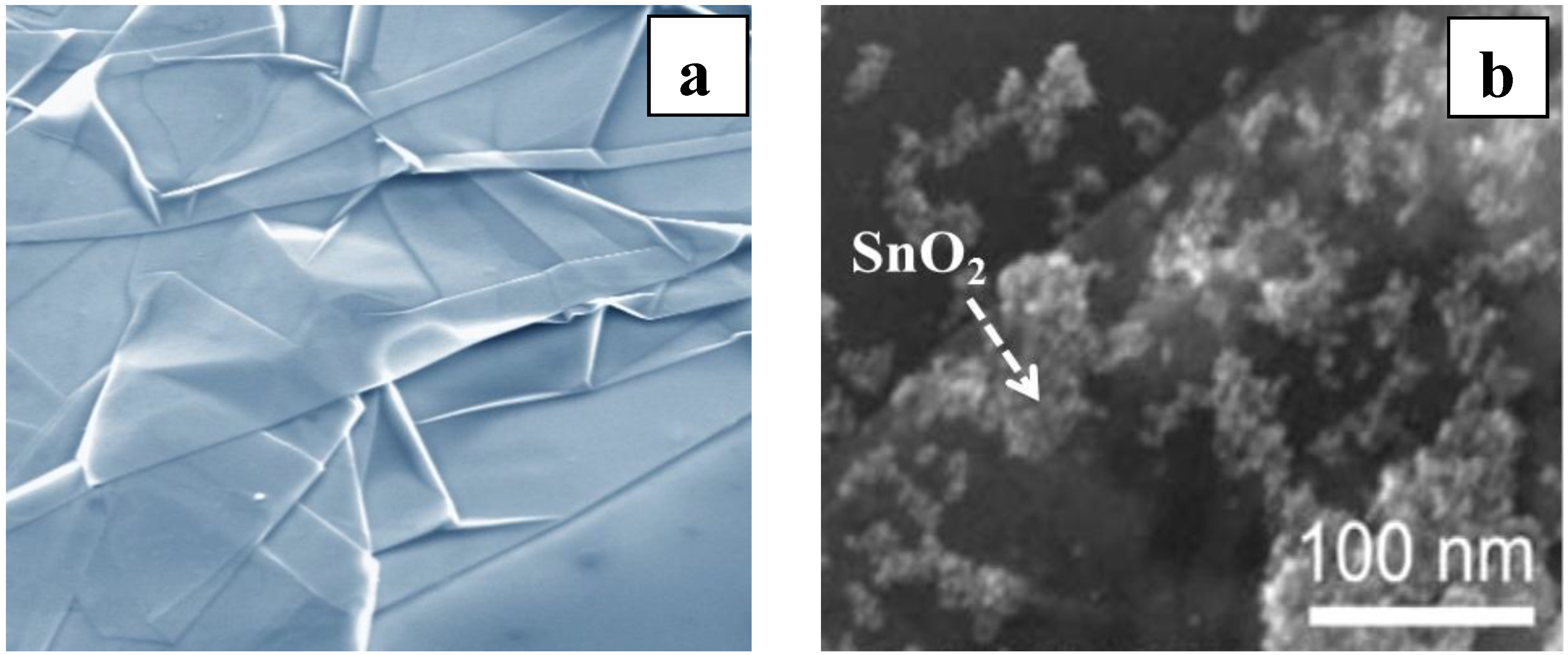 Chemosensors 03 00001 g007