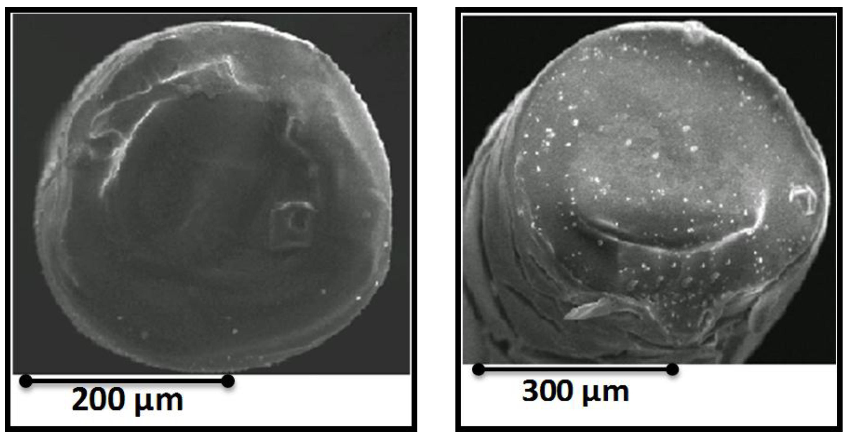 Chemosensors 03 00055 g003