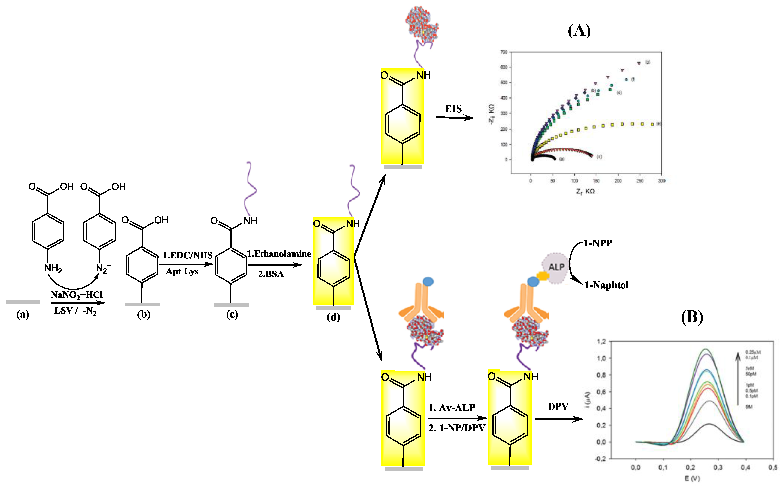 Chemosensors 04 00010 g005