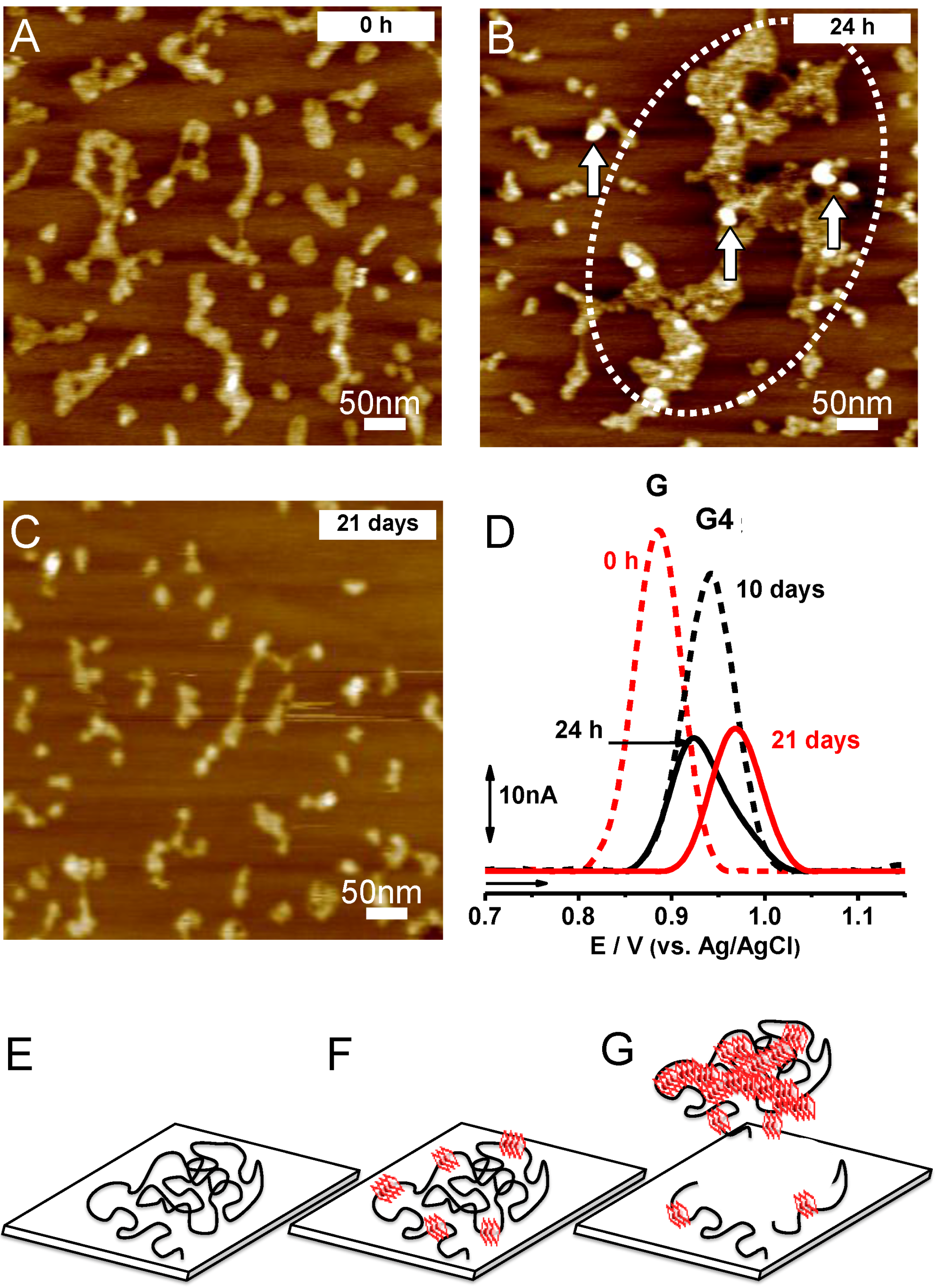 Chemosensors 04 00013 g005