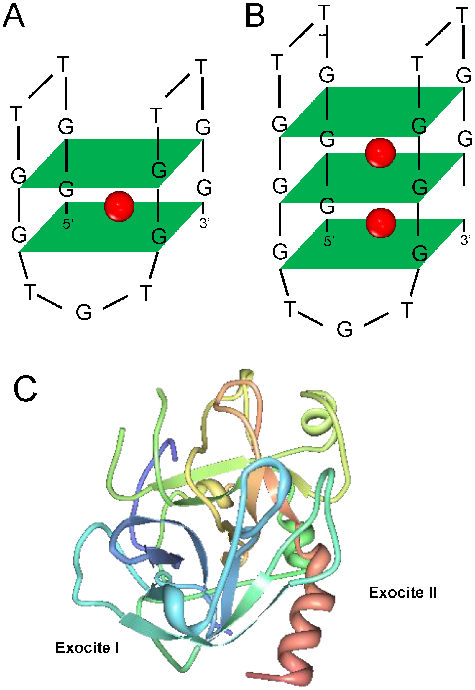 Chemosensors 04 00013 sch002