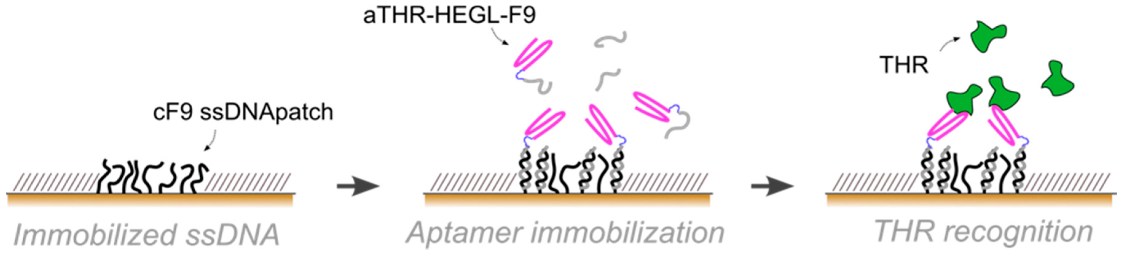 Chemosensors 04 00018 g001 1024