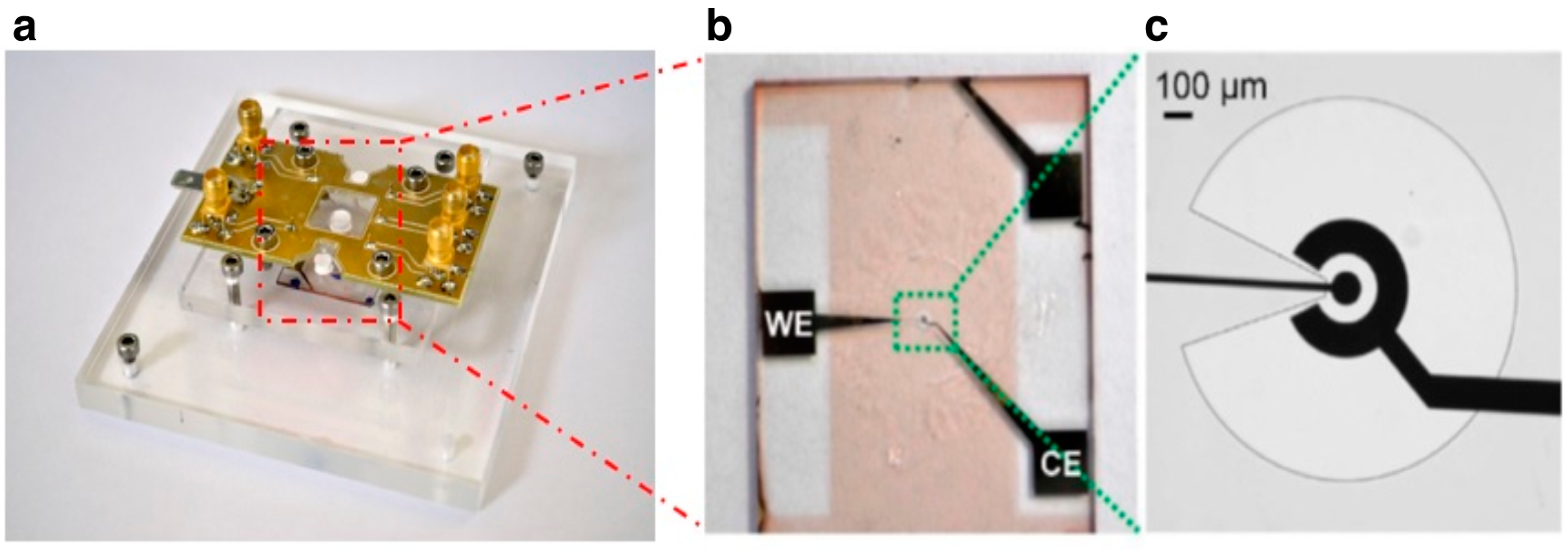 Chemosensors 04 00018 g002 1024