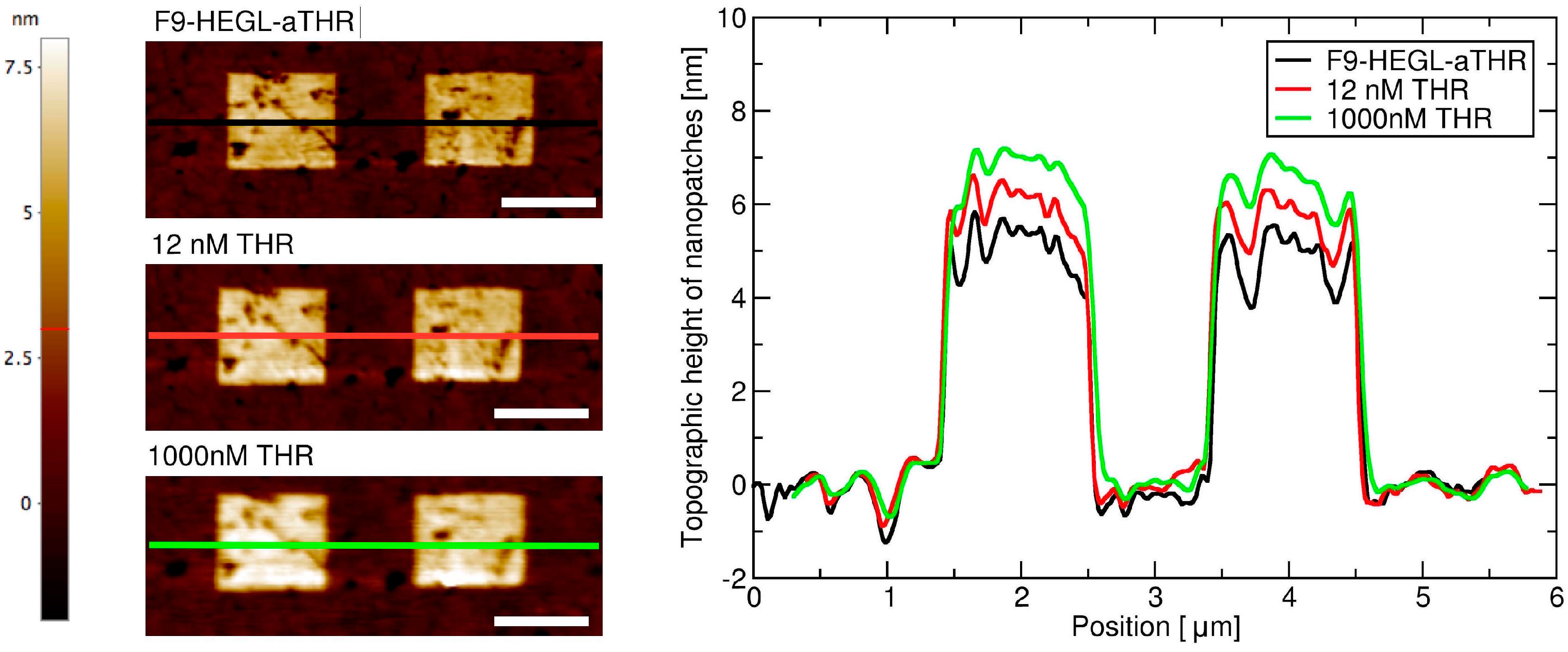 Chemosensors 04 00018 g004 1024