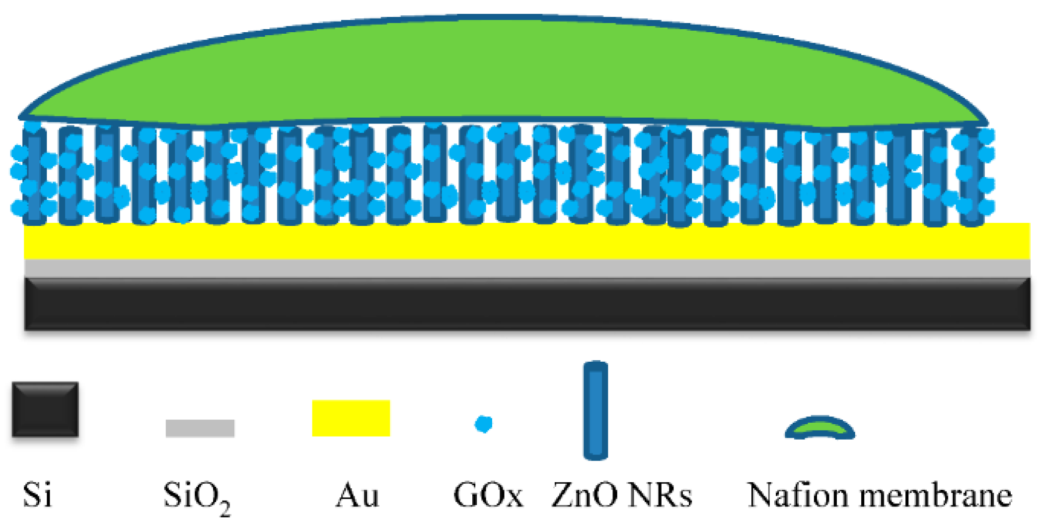 Chemosensors 05 00004 g001 550