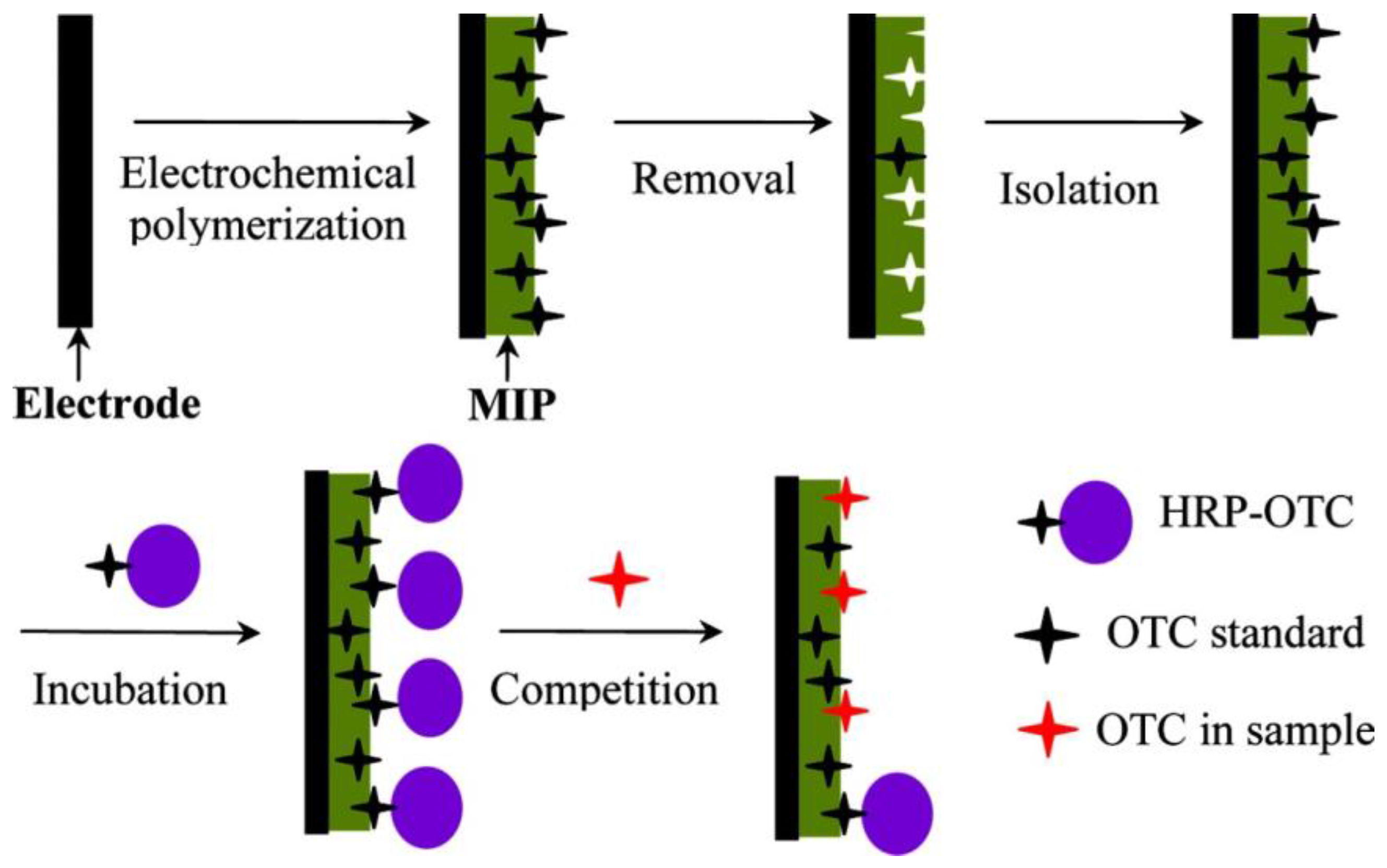 Electrochemical sensors Electrochemical sensors