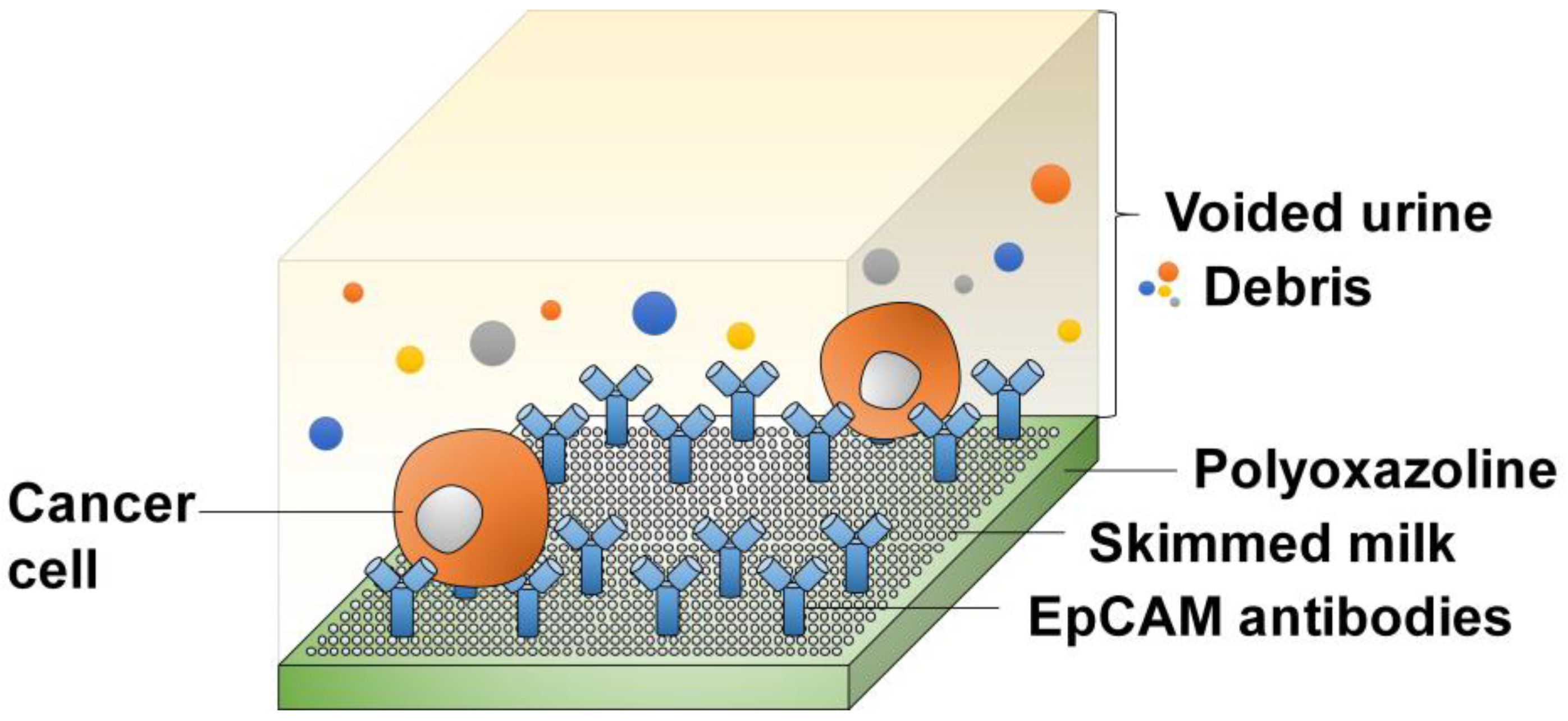 Chemosensors 05 00030 g001 Chemosensors 05 00030 g001