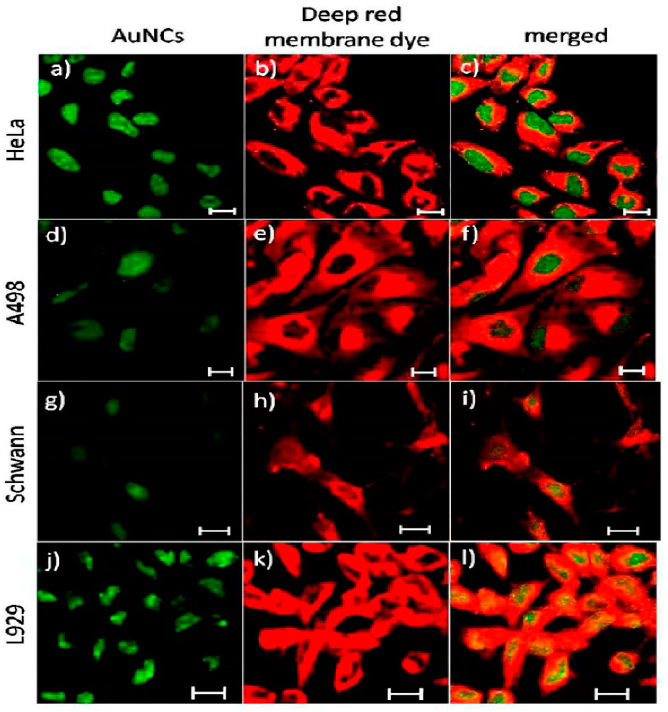 Chemosensors 05 00036 g006