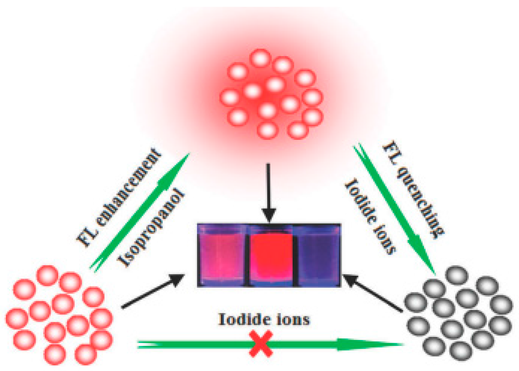 Chemosensors 05 00036 g008