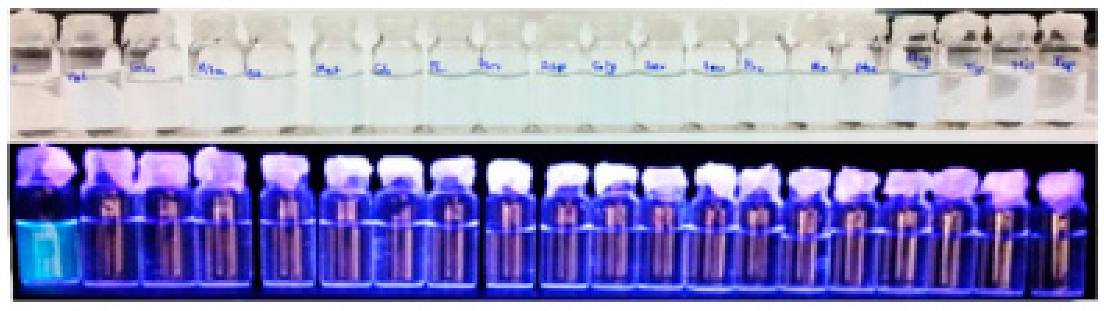 Chemosensors 05 00036 g013