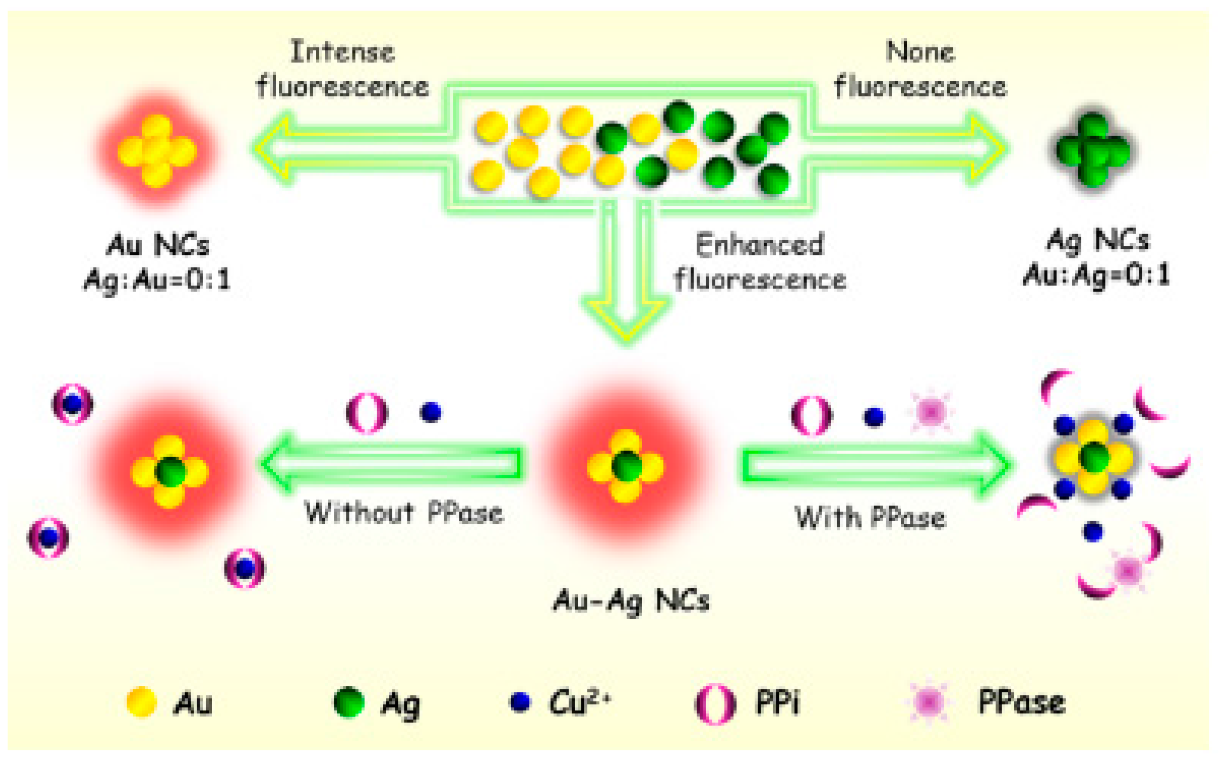 Chemosensors 05 00036 g016