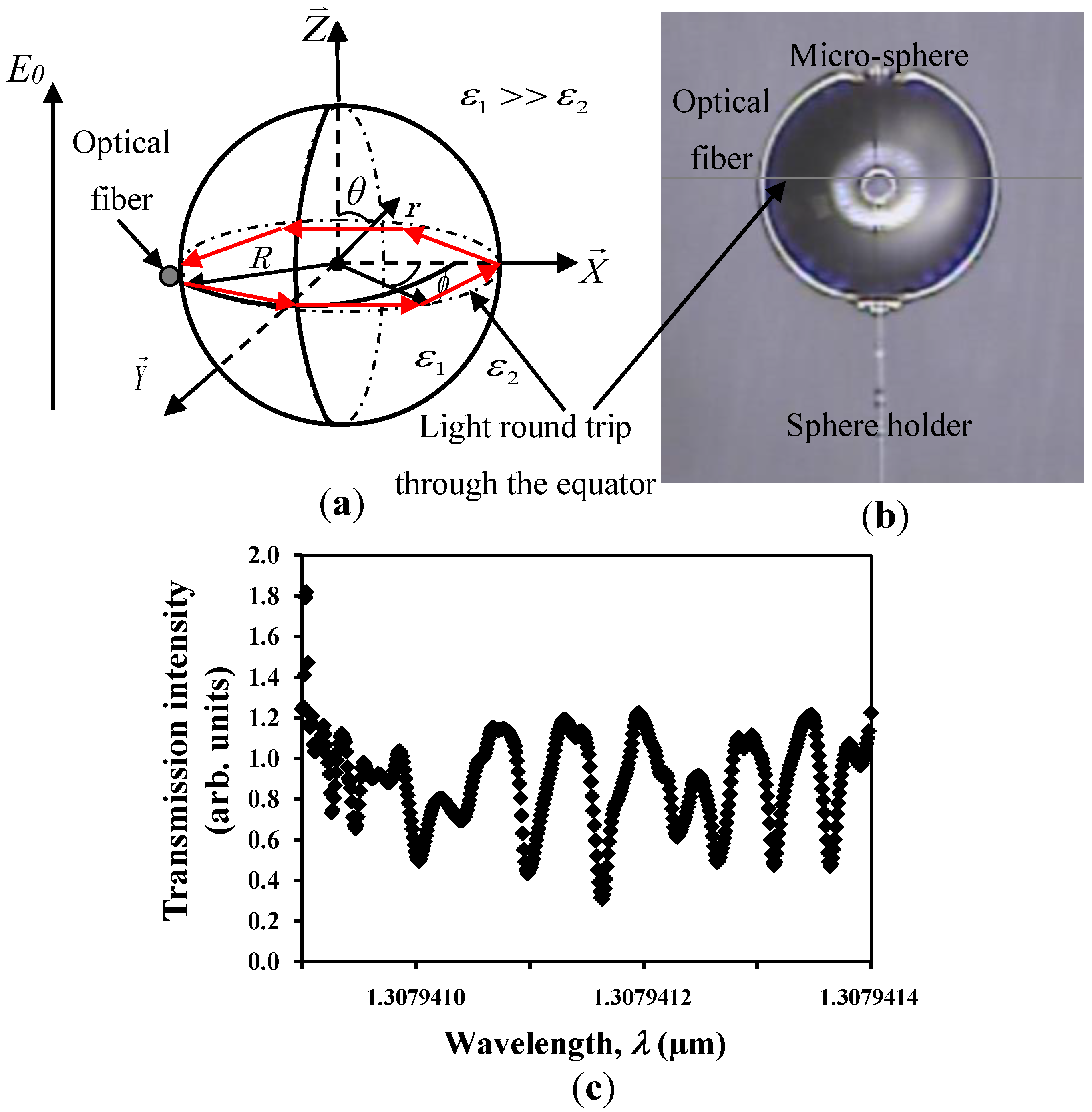Chemosensors 06 00003 g001
