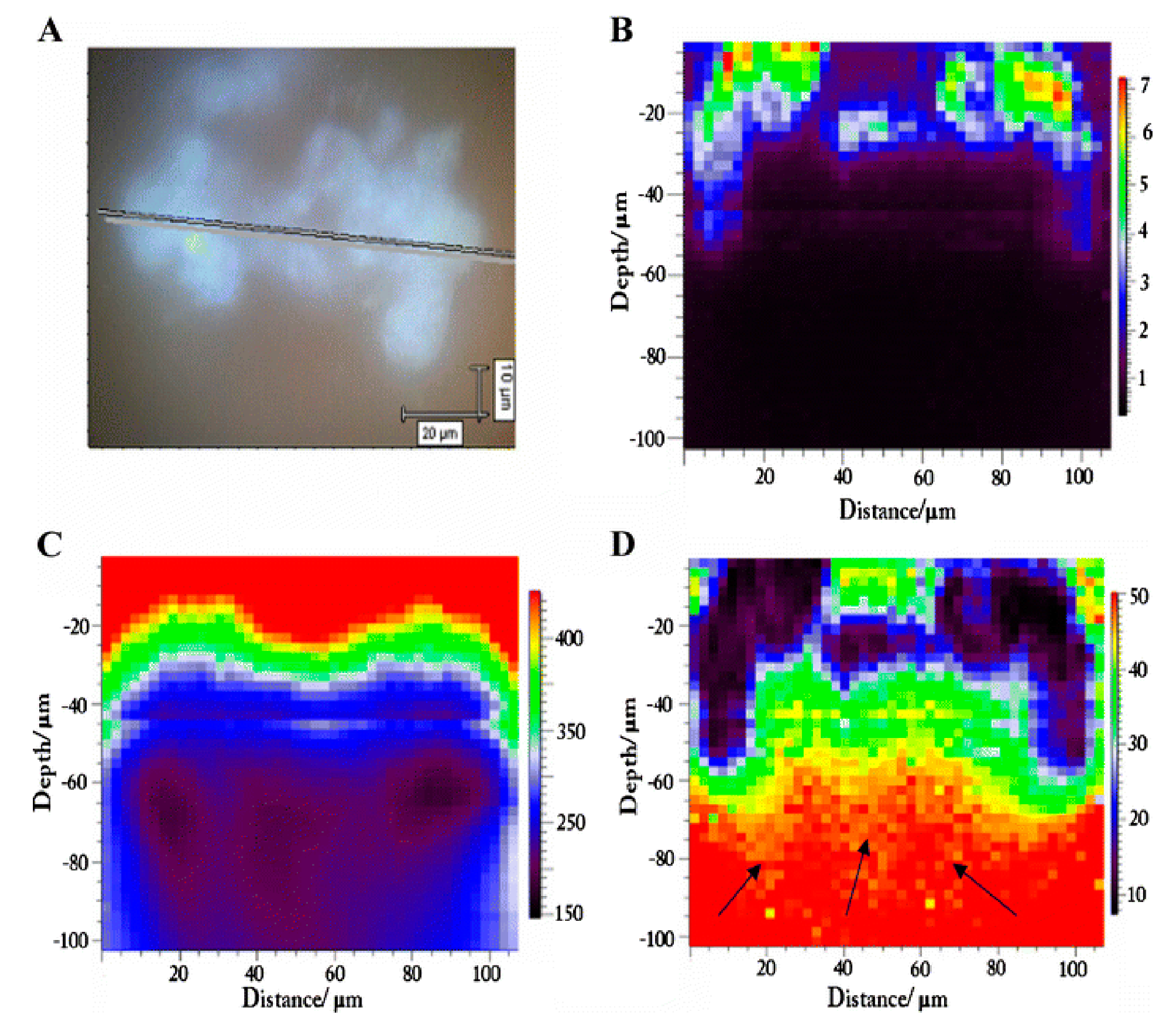 Chemosensors 06 00005 g001 550