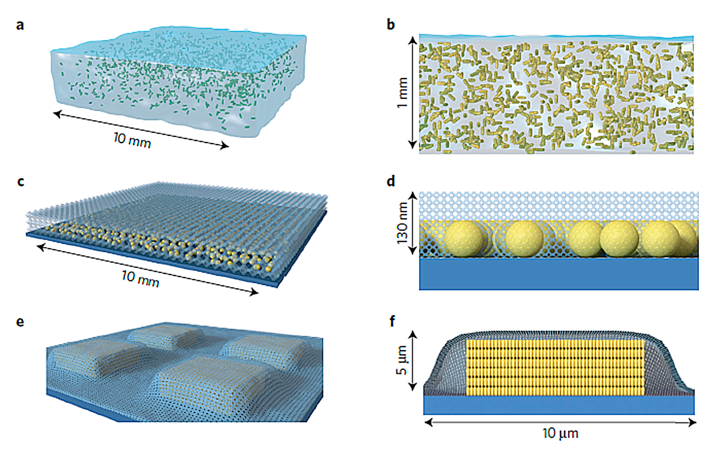 Chemosensors 06 00005 g003 550