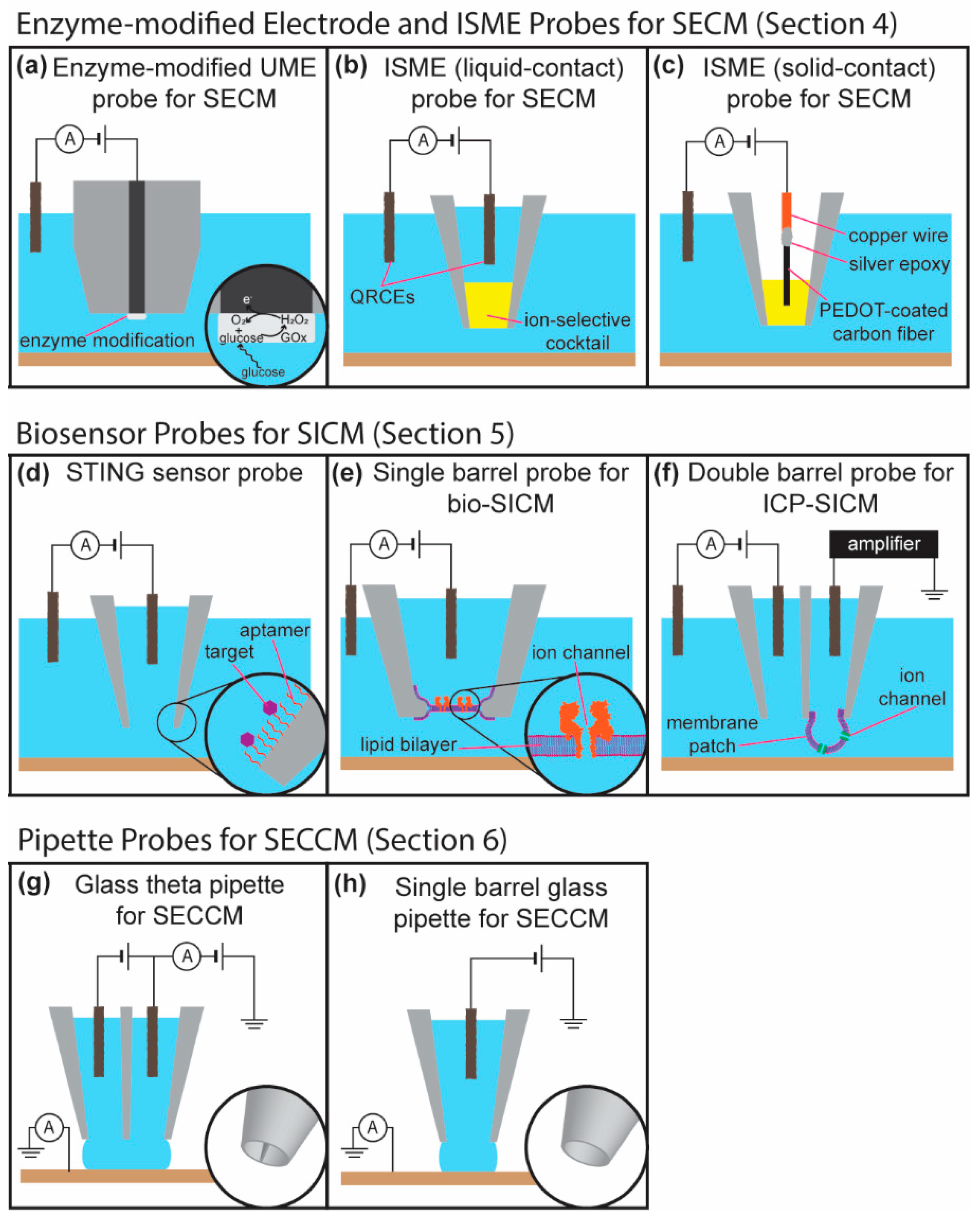 Chemosensors 06 00024 g002