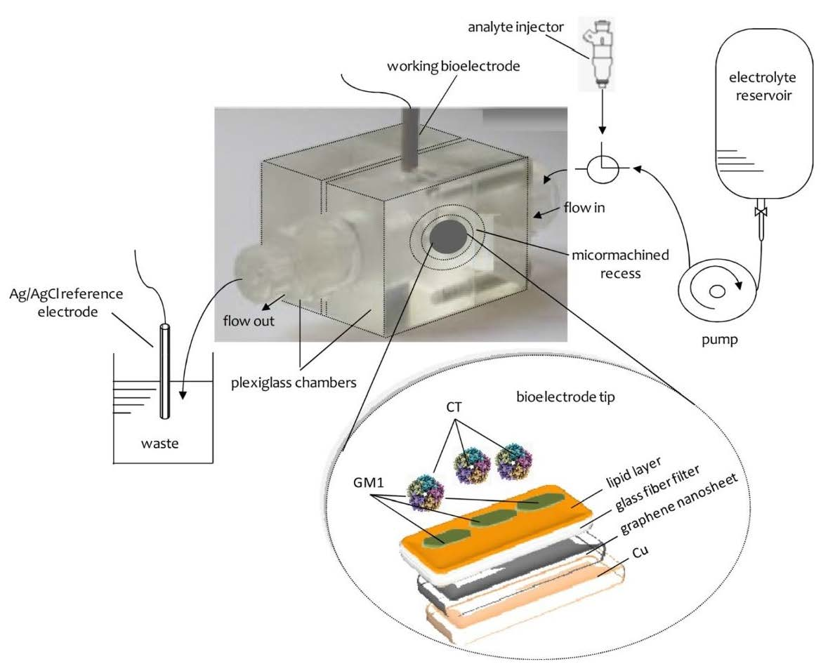 Chemosensors Free FullText Potentiometric Biosensing Applications