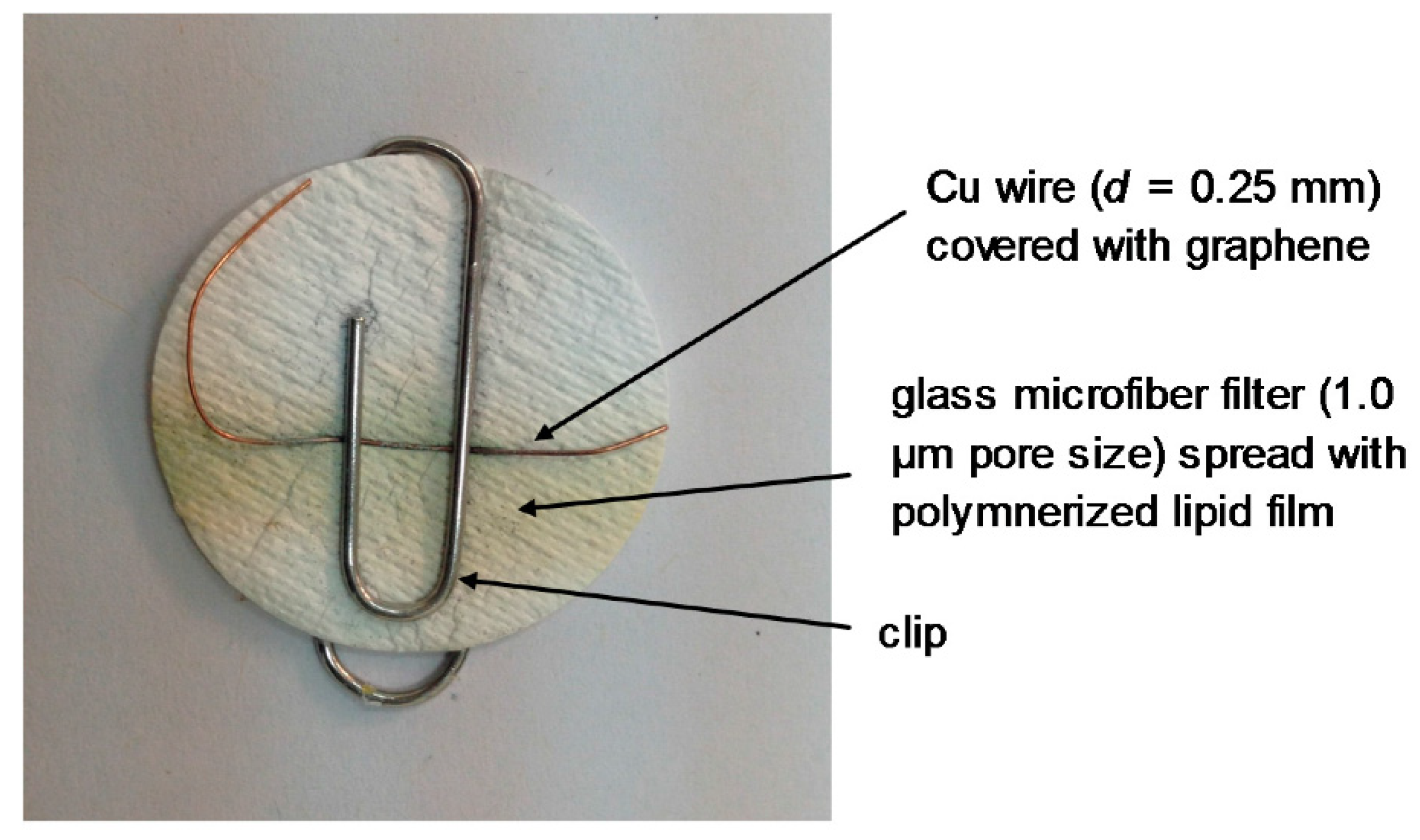Chemosensors 06 00025 g001