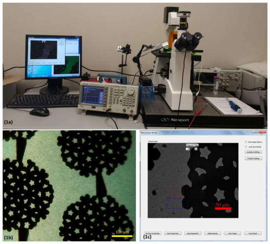 Chemosensors September 2018 Browse Articles